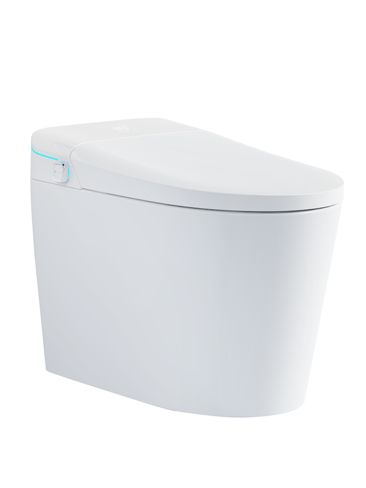 Smart Toilet with Auto Flush and Heated Seat and Remote Control Ceramic Elongated Toilet