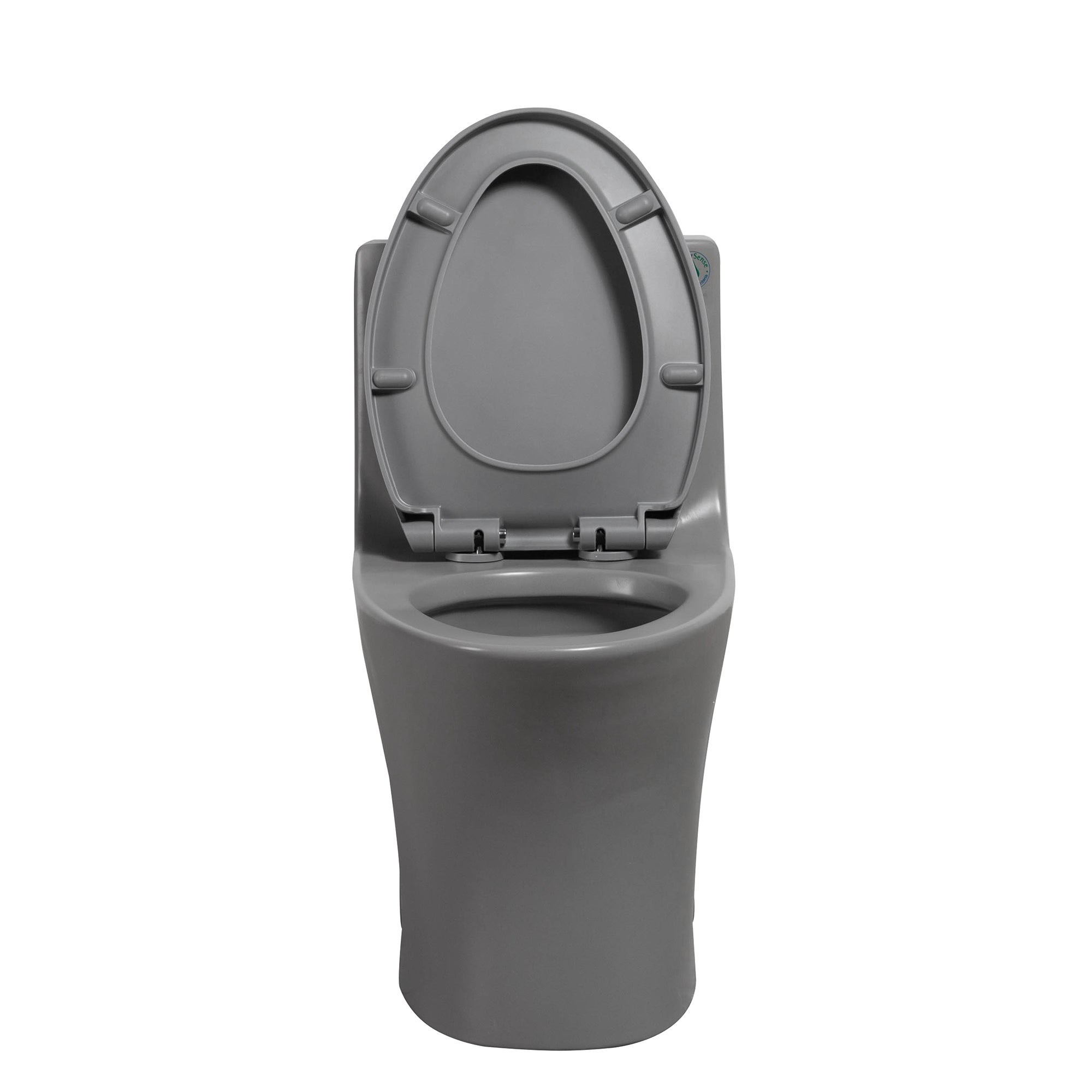15 1/8 Inch One-piece 1.1/1.6 GPF Dual Flush Elongated Toilet with Soft-Close Seat