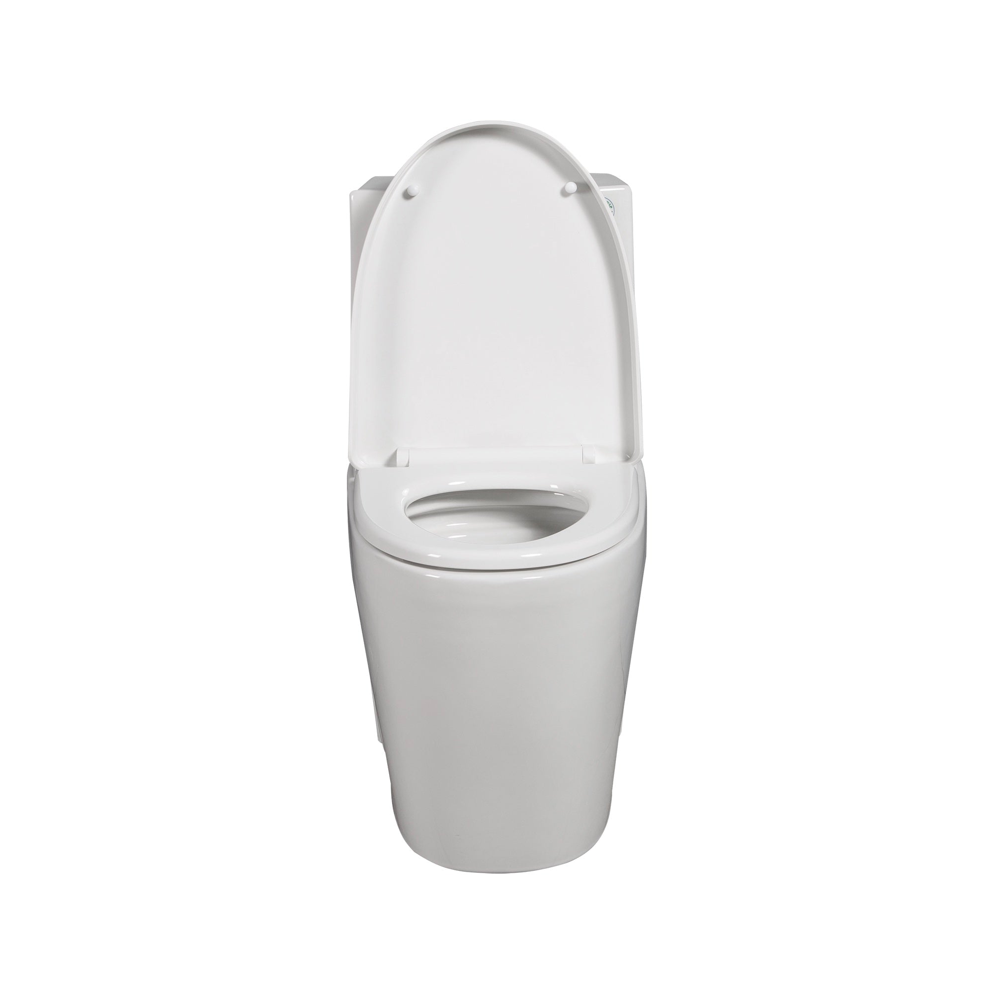 15 5/8 Inch One-piece 1.1/1.6 GPF Dual Flush Elongated Toilet with Soft-Close Seat