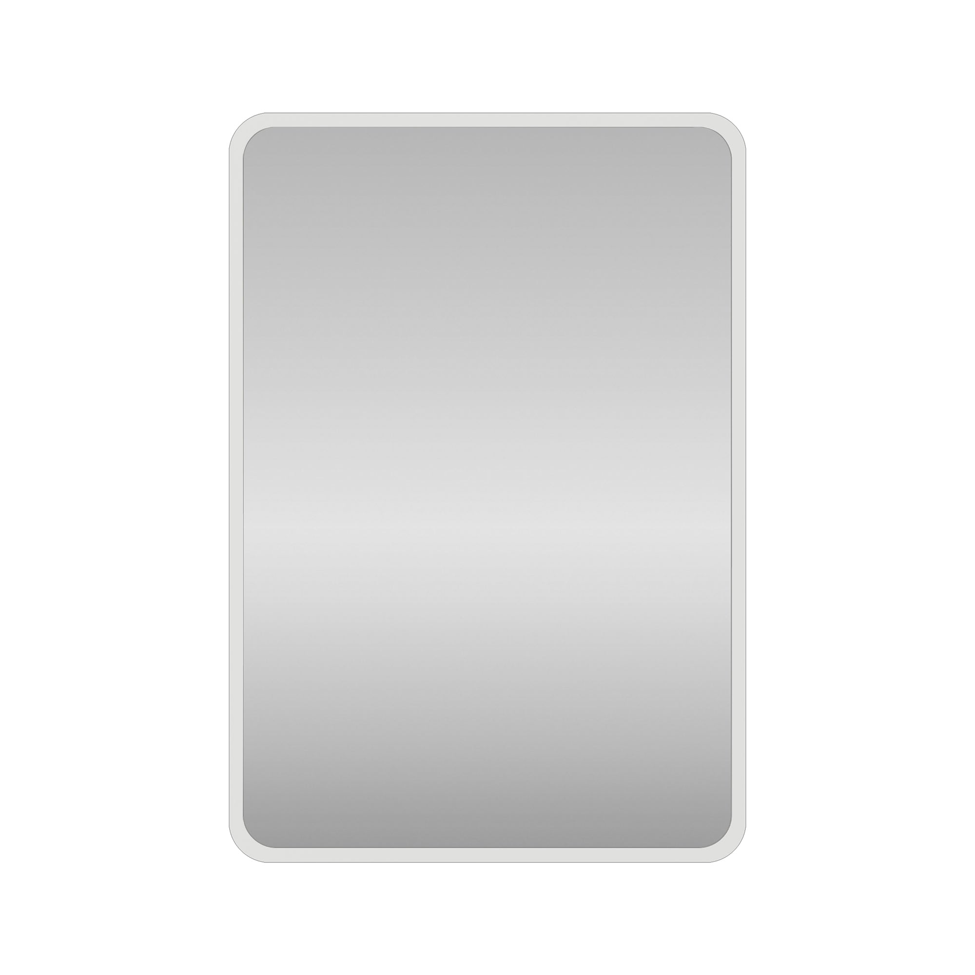 2432 Iron Surface/Recessed Mount Medicine Cabinet with Adjustable Shelves