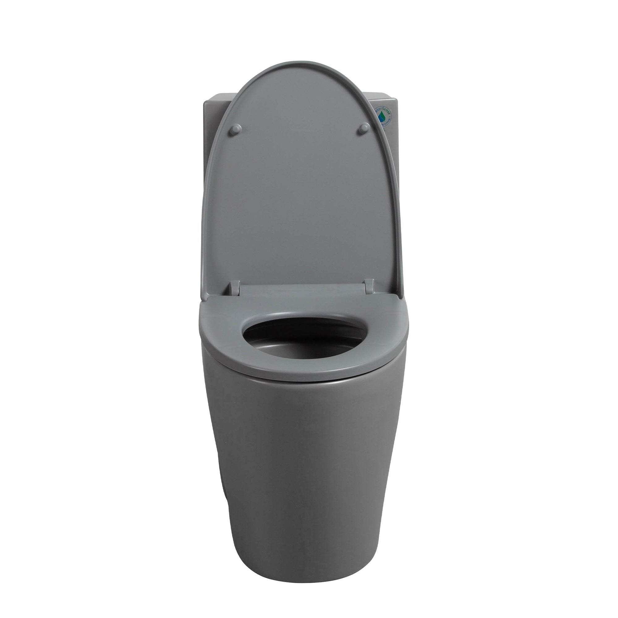 15 5/8 Inch One-piece 1.1/1.6 GPF Dual Flush Elongated Toilet with Soft-Close Seat