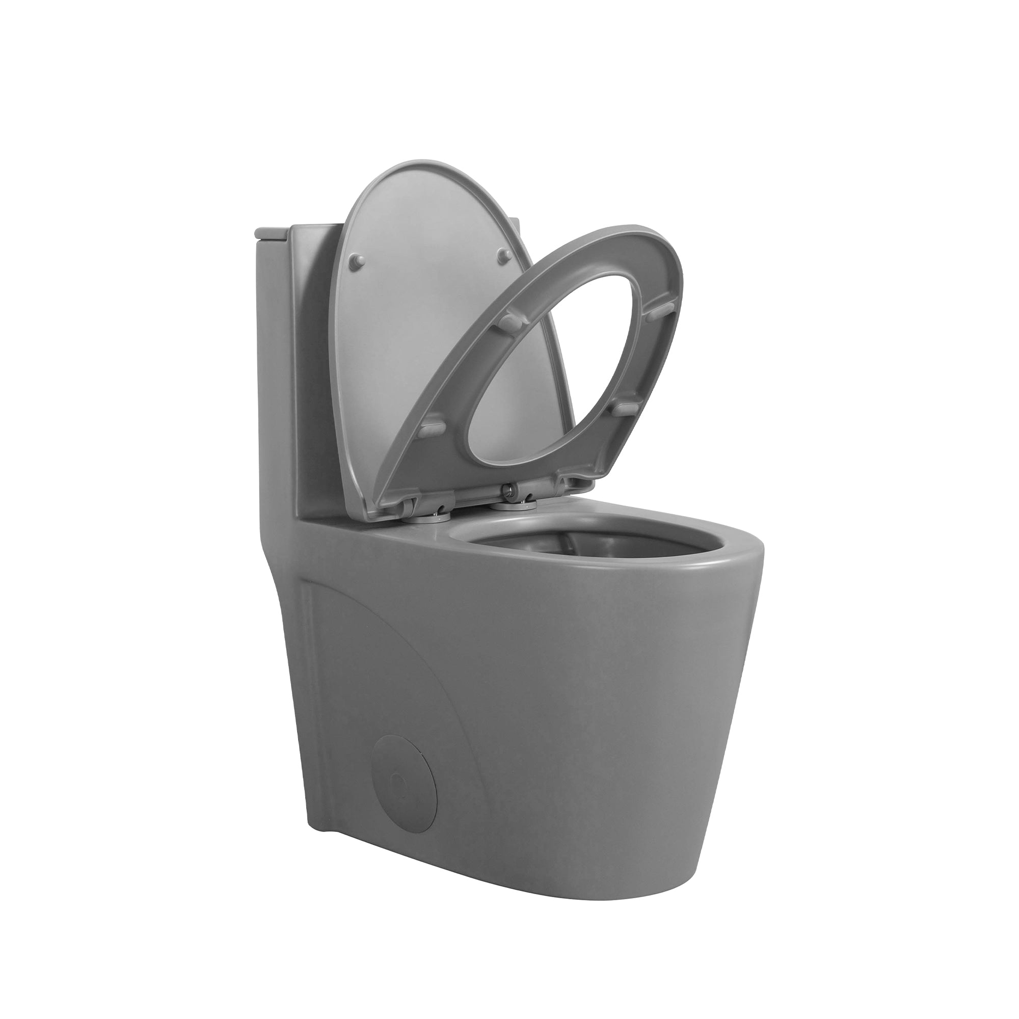 15 5/8 Inch One-piece 1.1/1.6 GPF Dual Flush Elongated Toilet with Soft-Close Seat