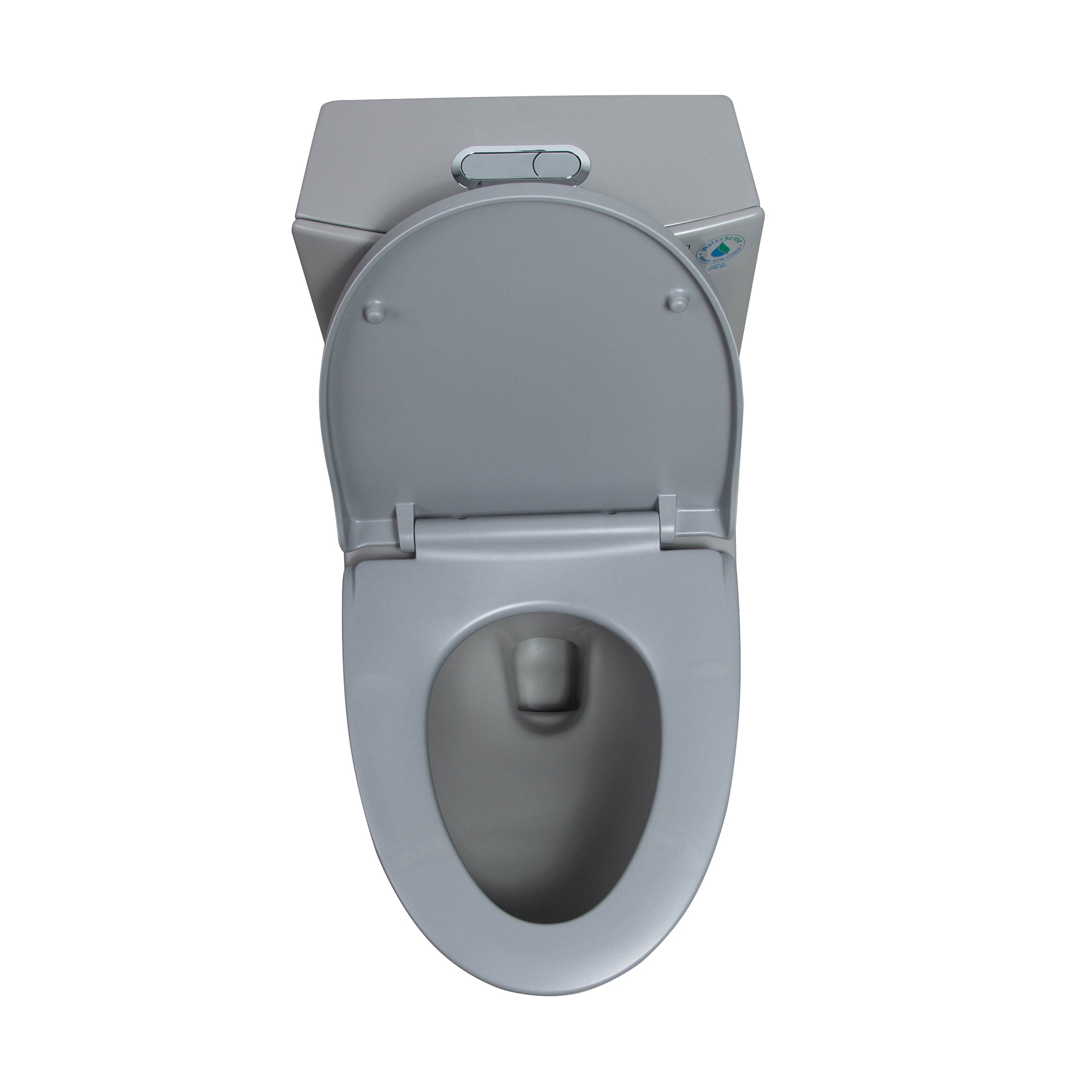 15 5/8 Inch One-piece 1.1/1.6 GPF Dual Flush Elongated Toilet with Soft-Close Seat