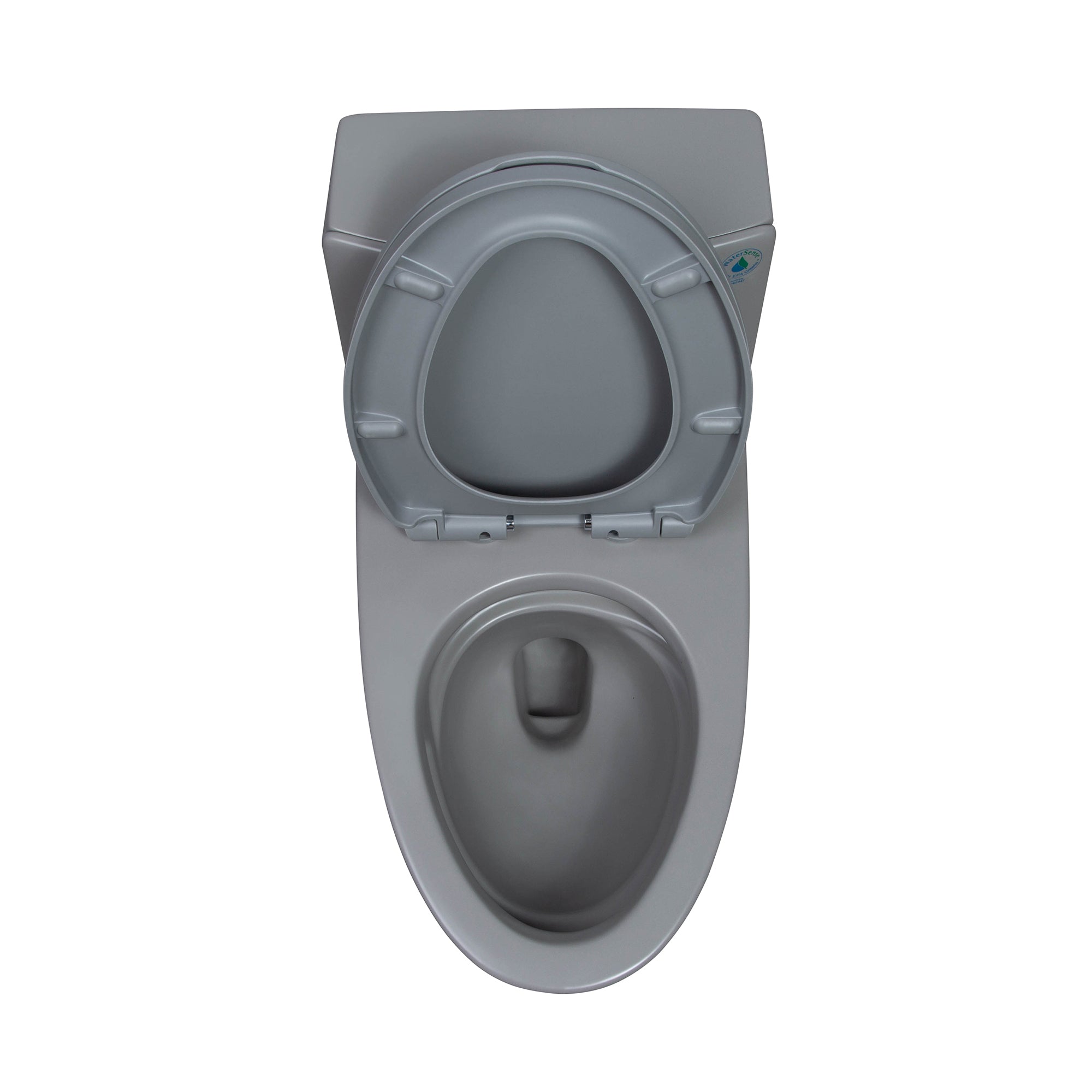 15 1/8 Inch One-piece 1.1/1.6 GPF Dual Flush Elongated Toilet with Soft-Close Seat