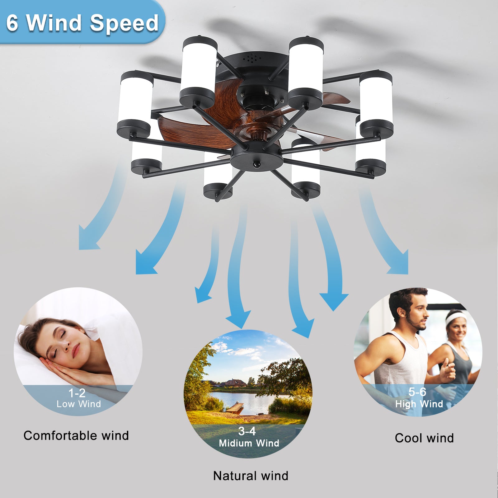 20 in. W x 6 in. H Iron Ceiling Fan in Black with LED Lights