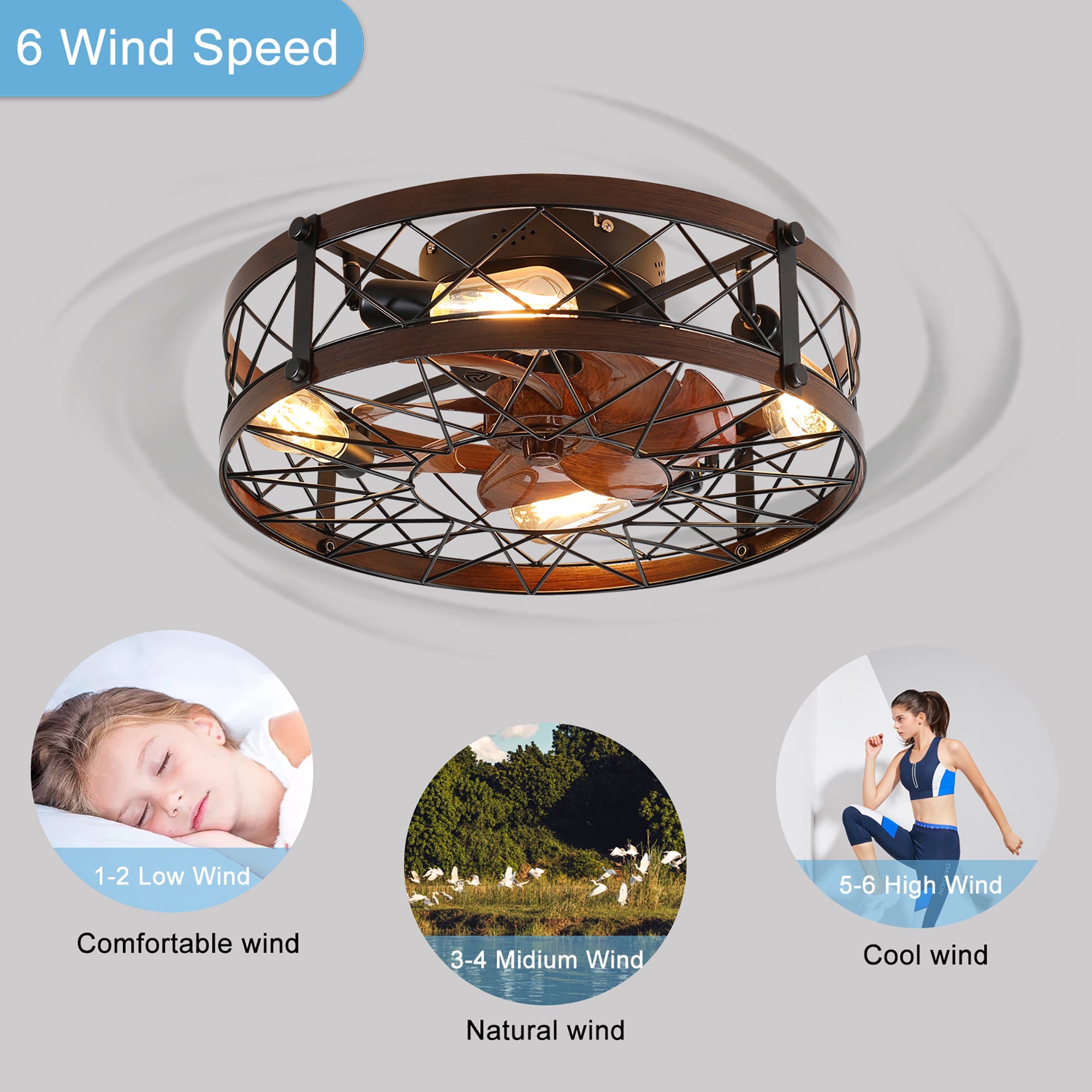 20 in. W x 6 in. H Iron Ceiling Fan in Black with LED Lights