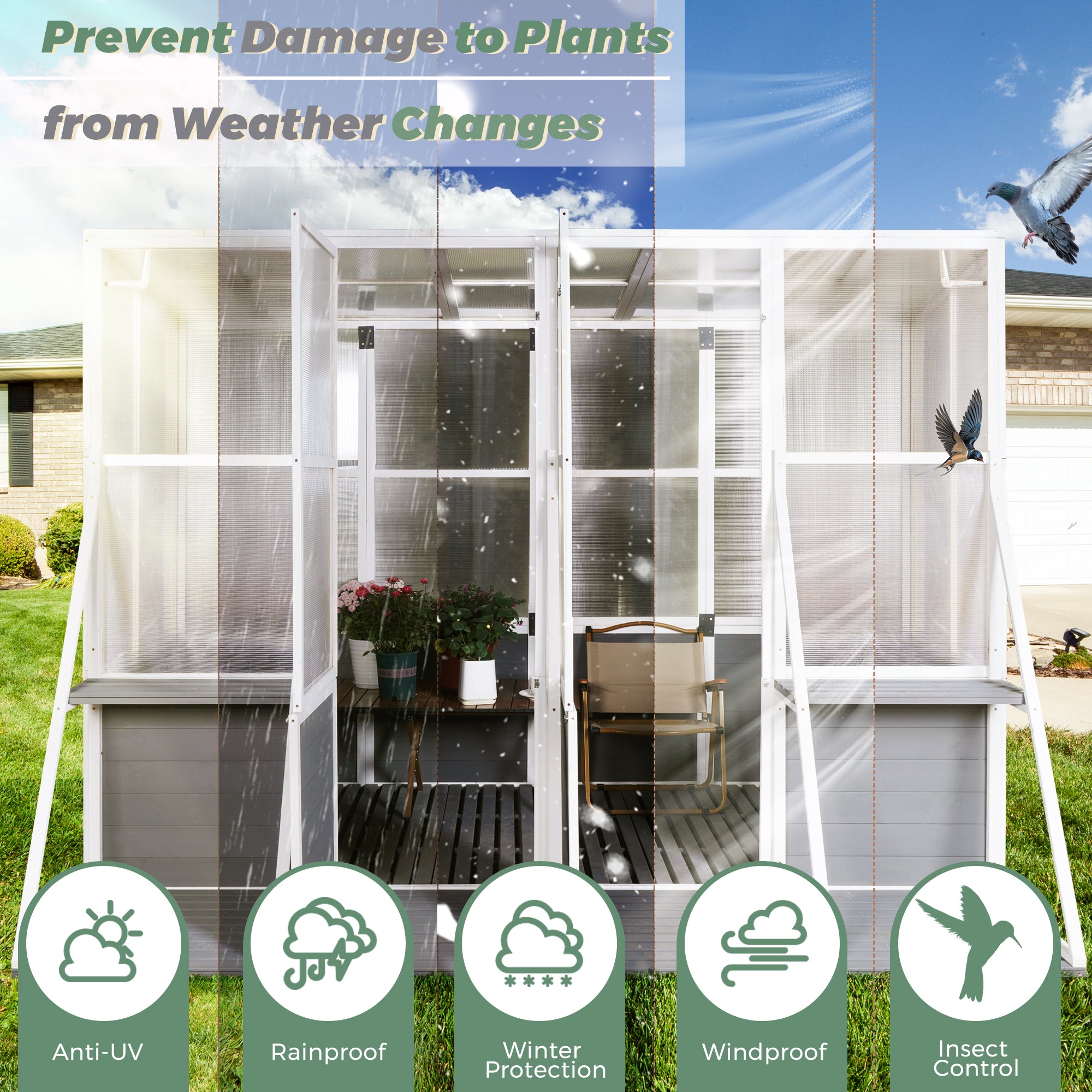 103.94''x98.43''x77.56'' Outdoor Wooden Polycarbonate White Gray Greenhouse