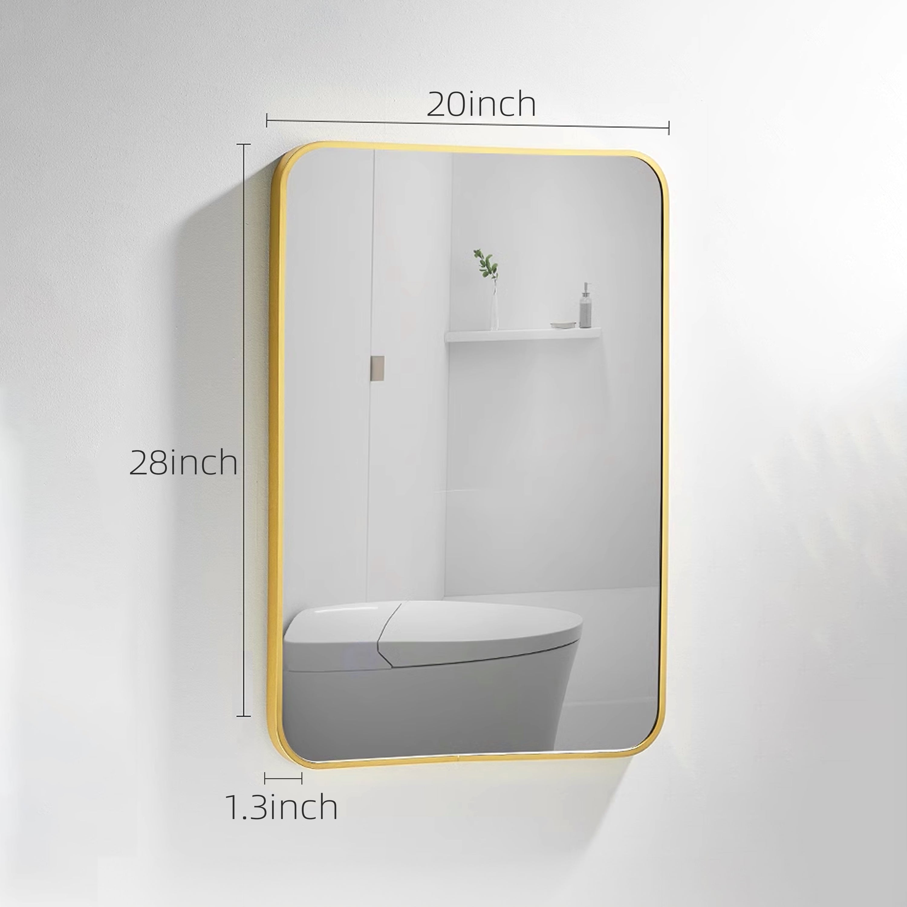 20 in./ 24 in. Rectangular Framed Wall Mounted Bathroom Mirror