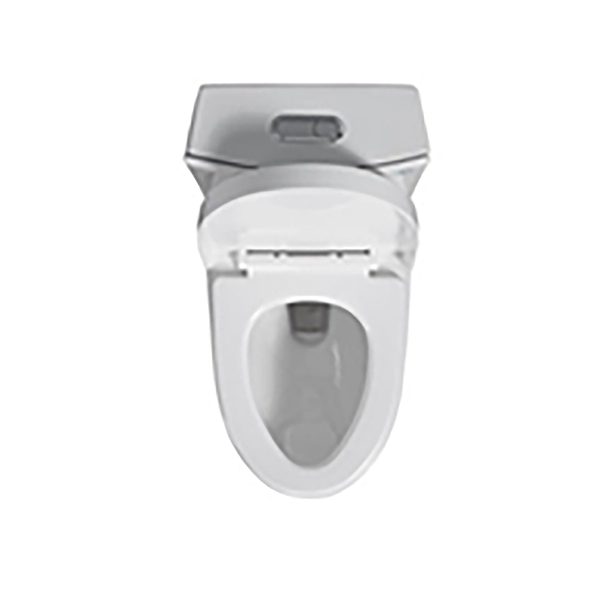 15 5/8 Inch One-piece 1.1/1.6 GPF Dual Flush Elongated Toilet with Soft-Close Seat