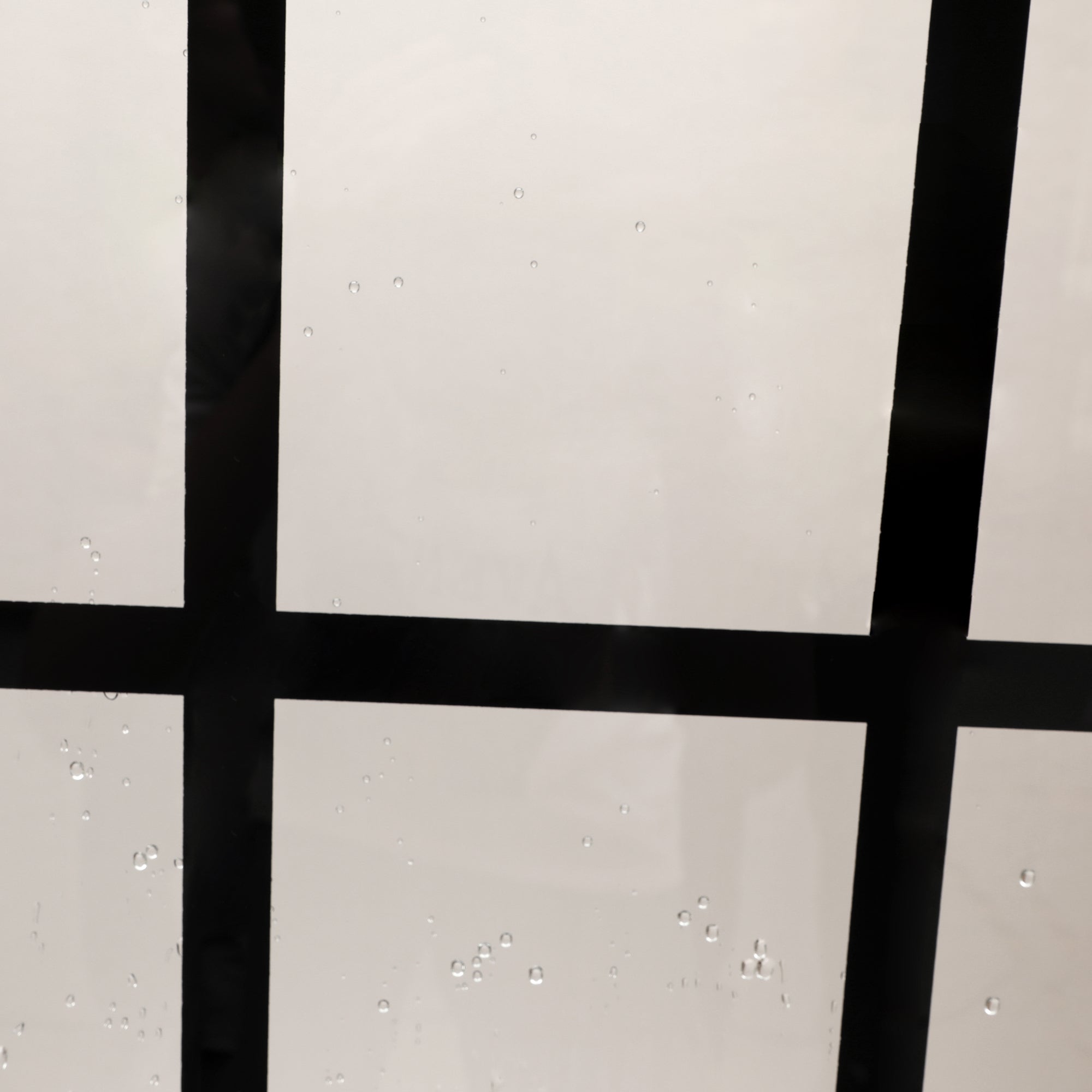 48 in. W x 76 in. H Semi-Frameless Shower Doors Double Sliding