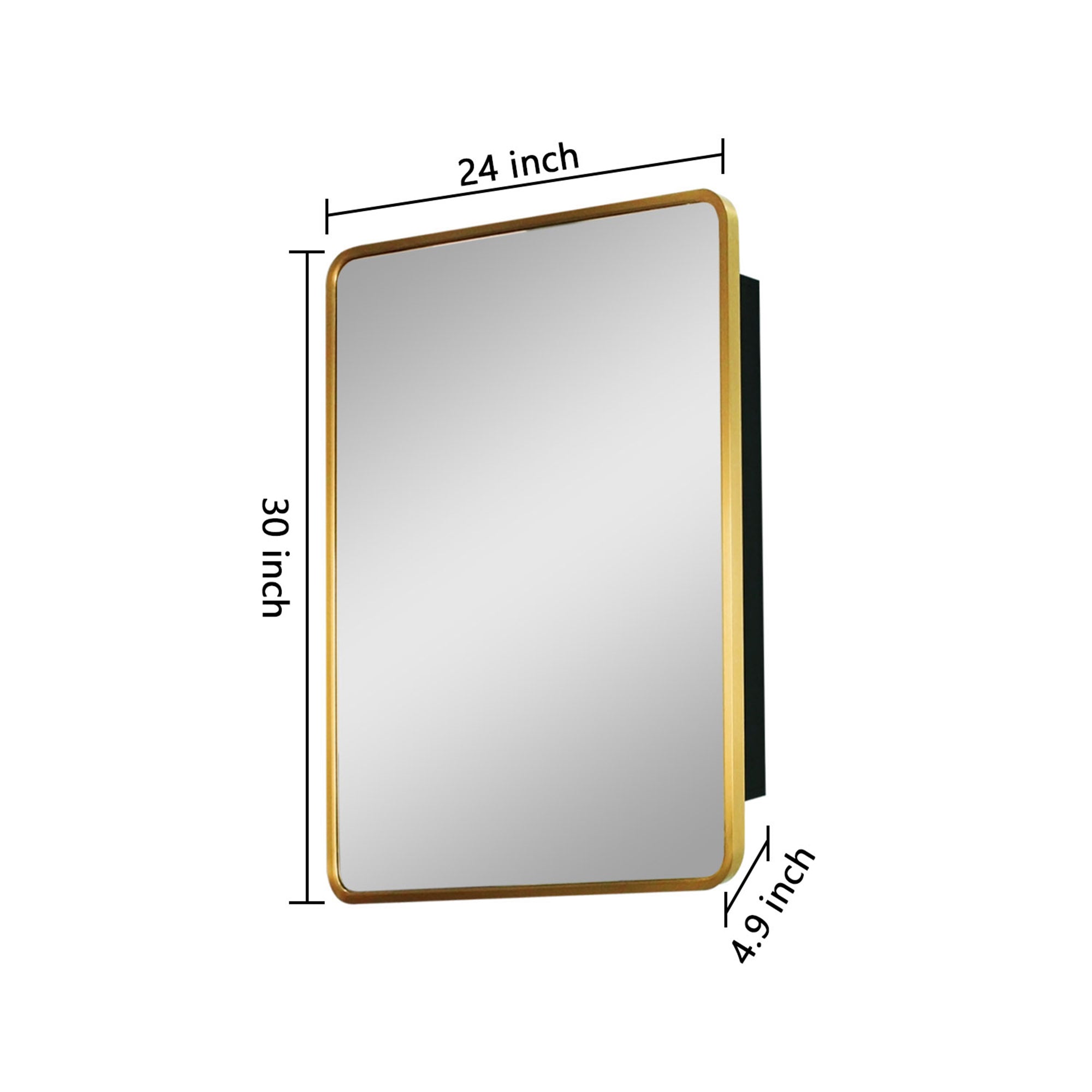 2430 Iron Surface/Recessed Mount Medicine Cabinet with Adjustable Shelves