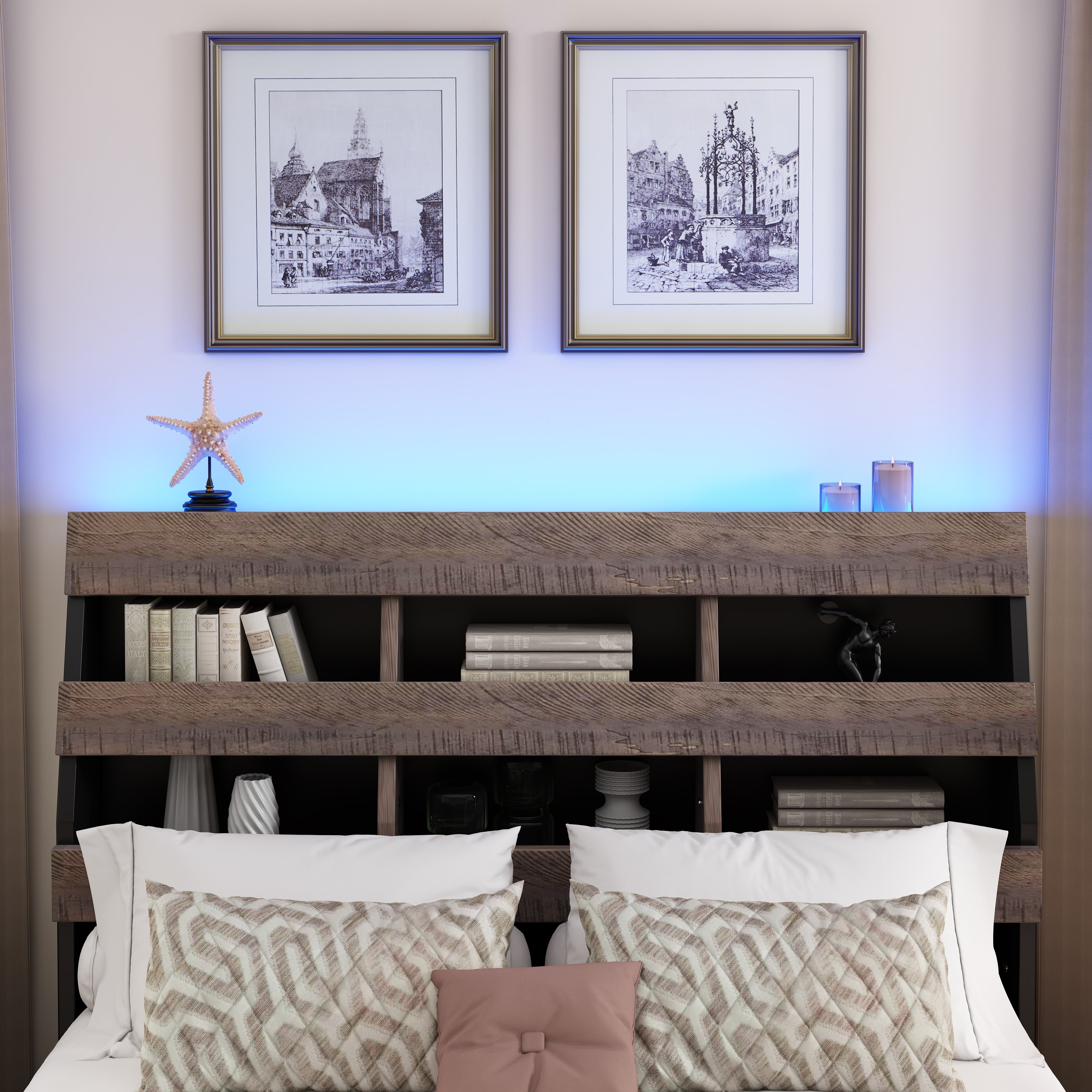 Queen Bed Frame with Bookshelf and LED Lights and USB Port