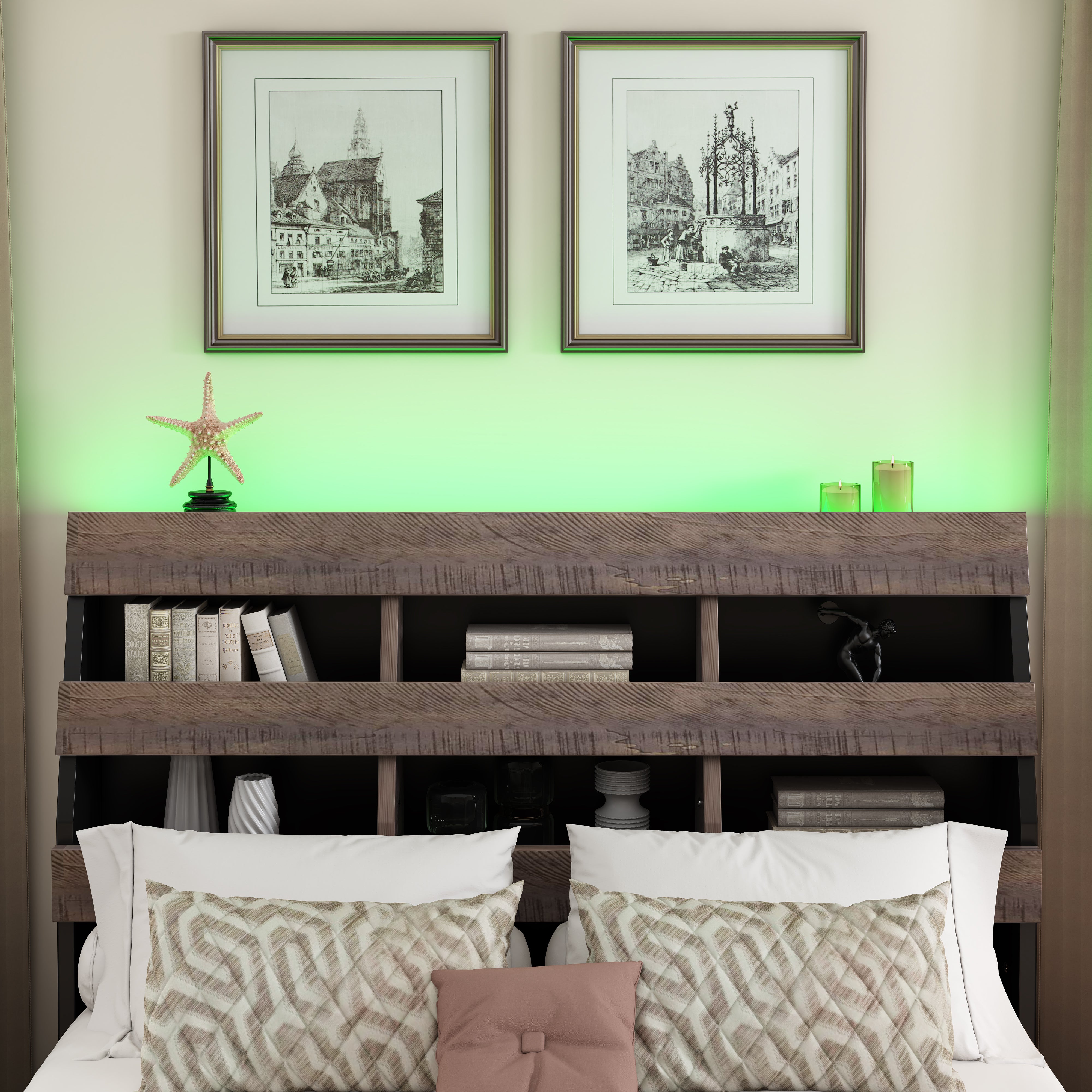 Queen Bed Frame with Bookshelf and LED Lights and USB Port