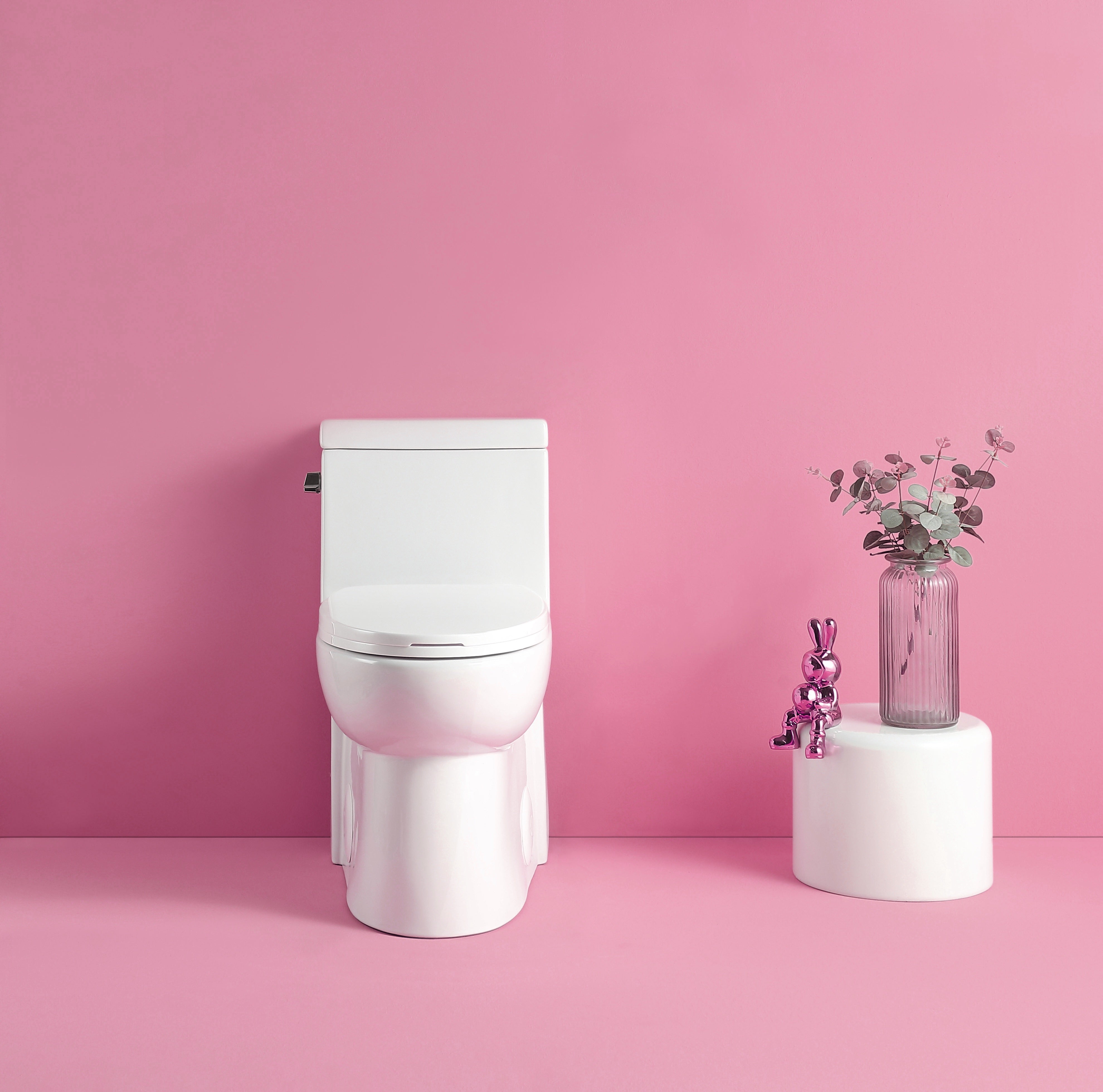 15 1/8 Inch 1.28 GPF One Piece Single Flush Elongated Toilet with Soft-Close Seat 