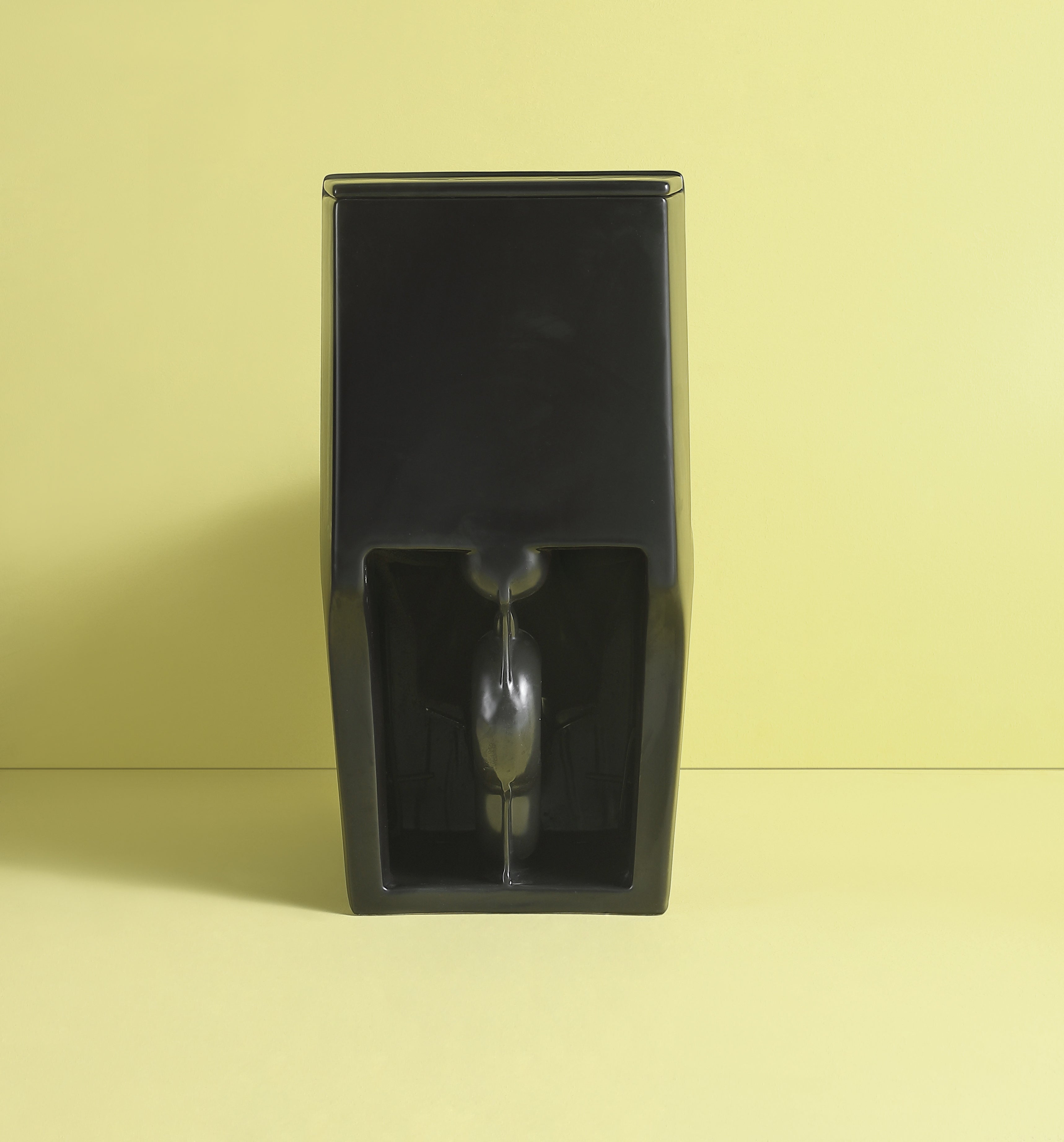 15 5/8 Inch One Piece 1.1/1.6 GPF Dual Flush Elongated Toilet