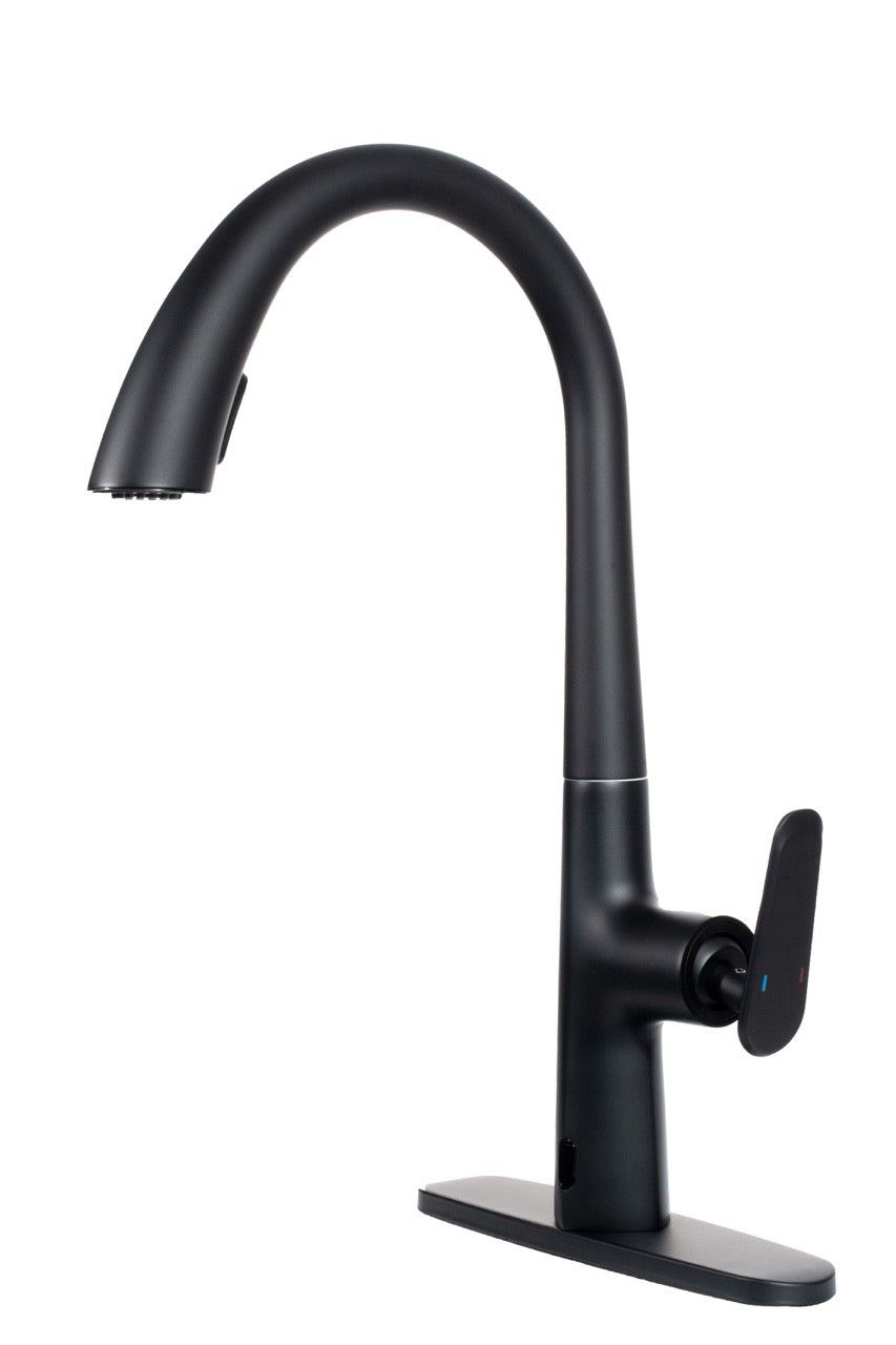 Single Handle Deck Mount Pull Down Brass Kitchen Faucet with Deckplate