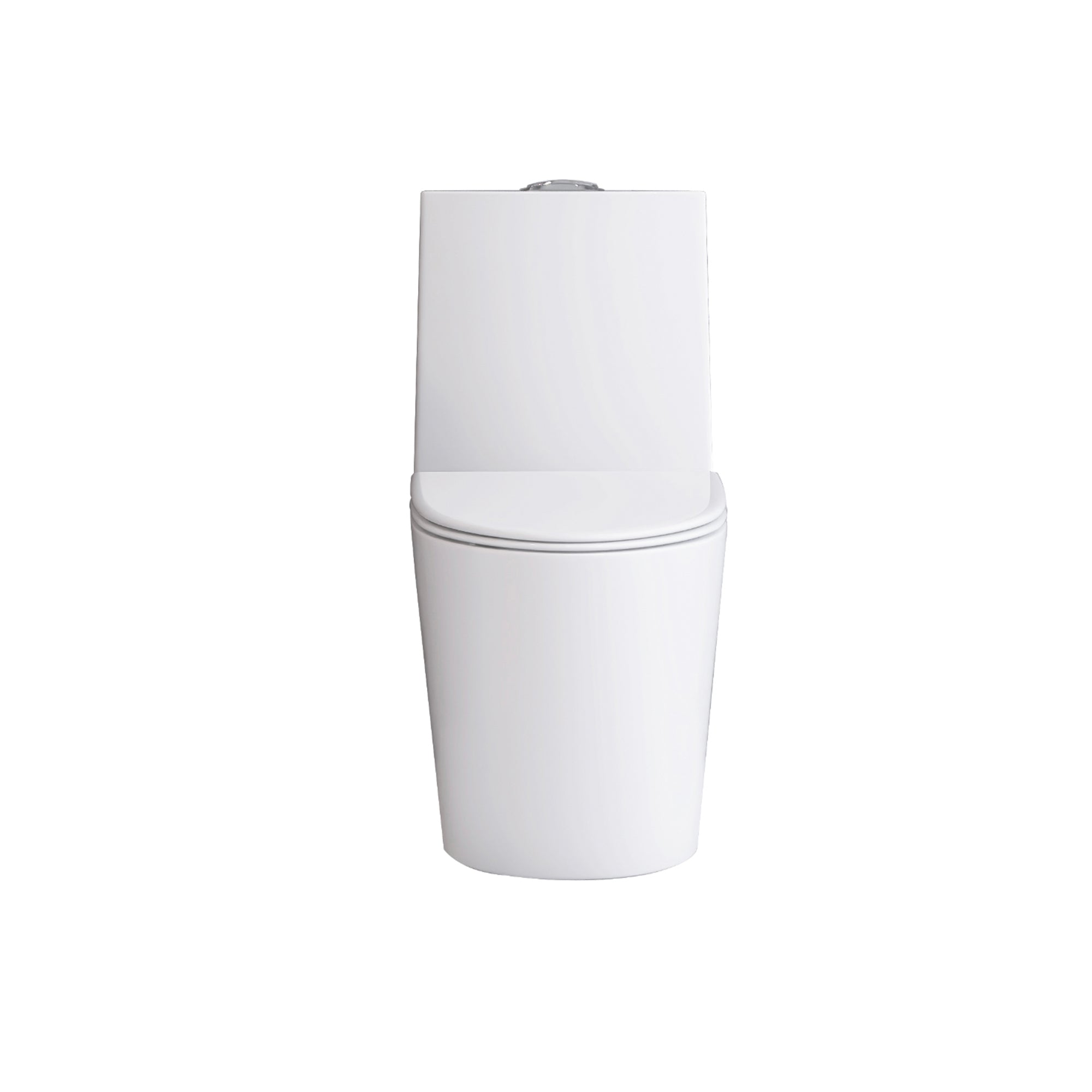 12 in. Rough-In 1-piece 1.1/1.6 GPF Dual Flush Elongated Toilet in White Seat Included