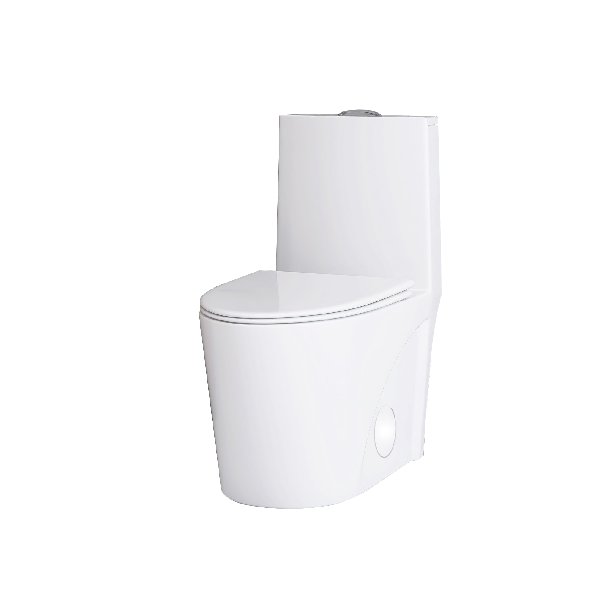 12 in. Rough-In 1-piece 1.1/1.6 GPF Dual Flush Elongated Toilet in White Seat Included