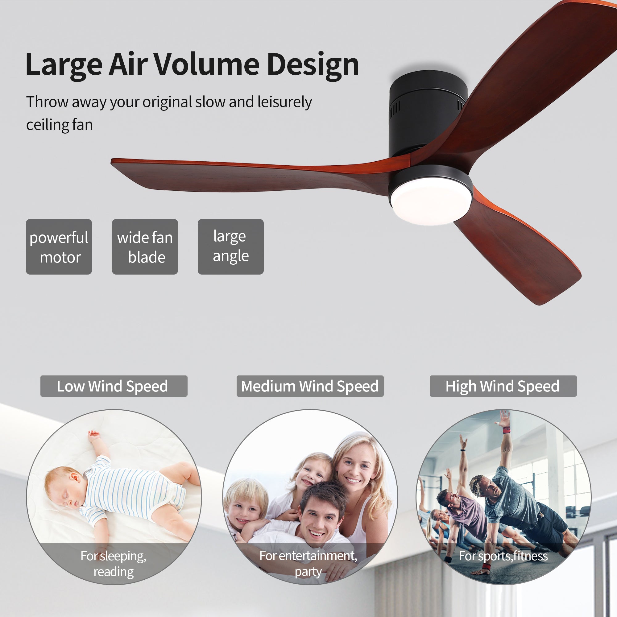 52" Ceiling Fan Light with Remote Control for Living Room