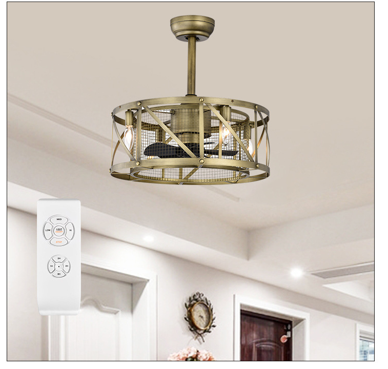 20'' Ceiling Fan Light with Remote Control for Living Room