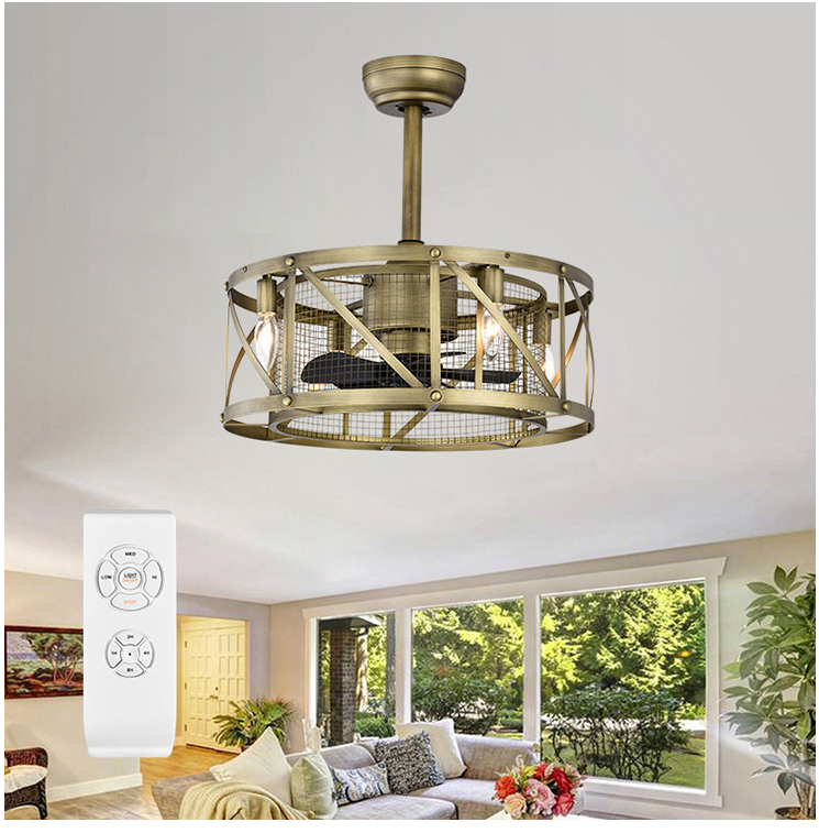 20'' Ceiling Fan Light with Remote Control for Living Room