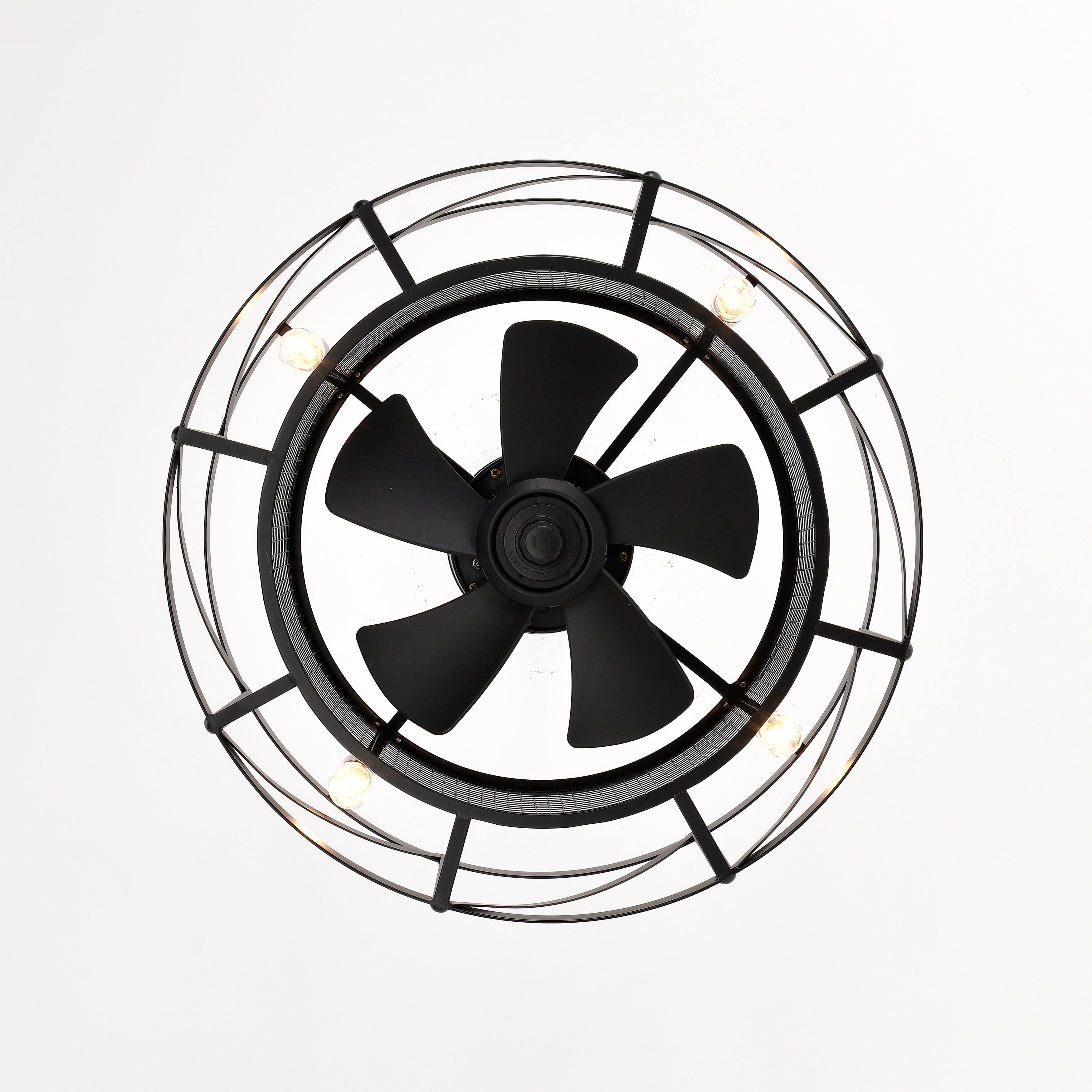 20'' Ceiling Fan Light with Remote Control for Living Room