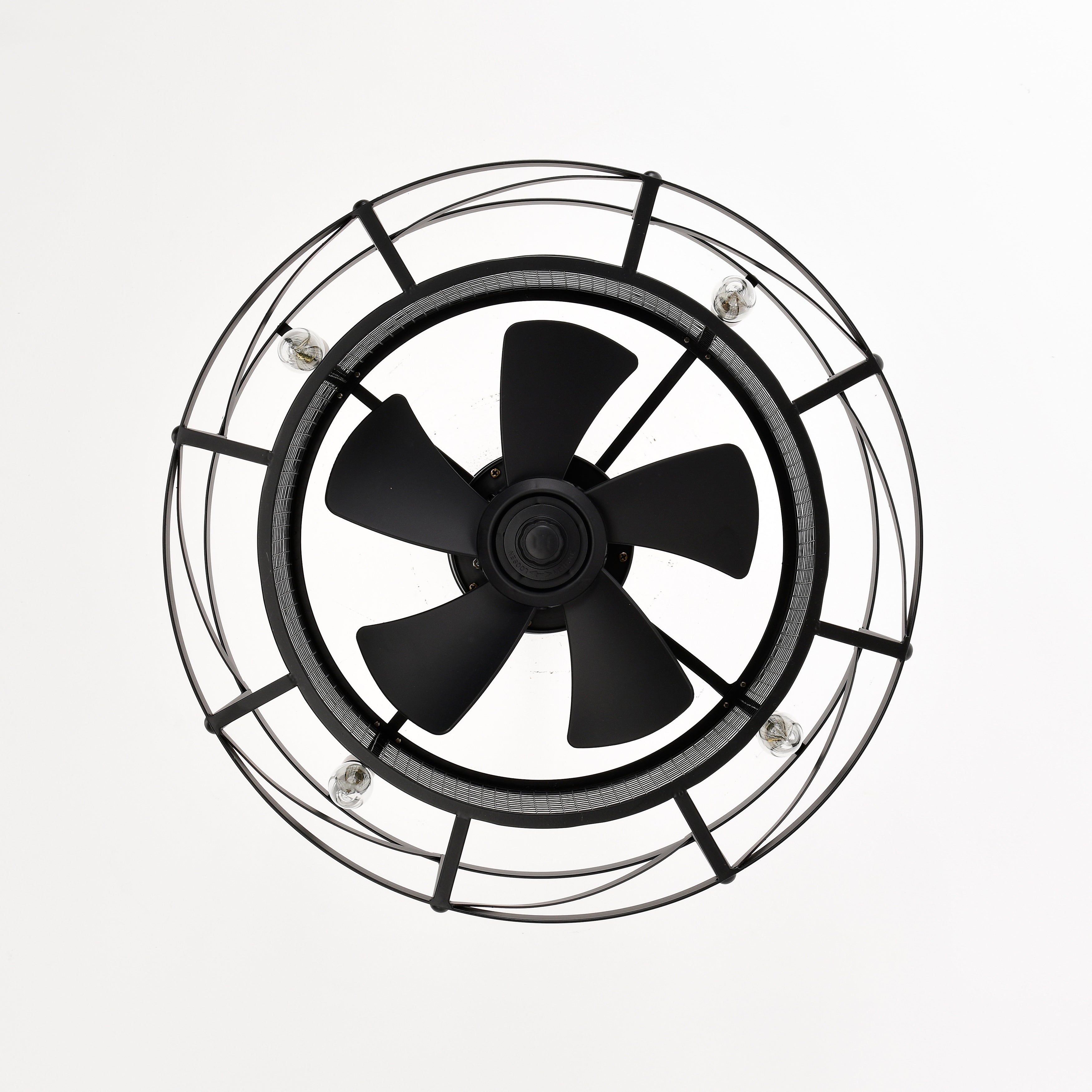 20'' Ceiling Fan Light with Remote Control for Living Room