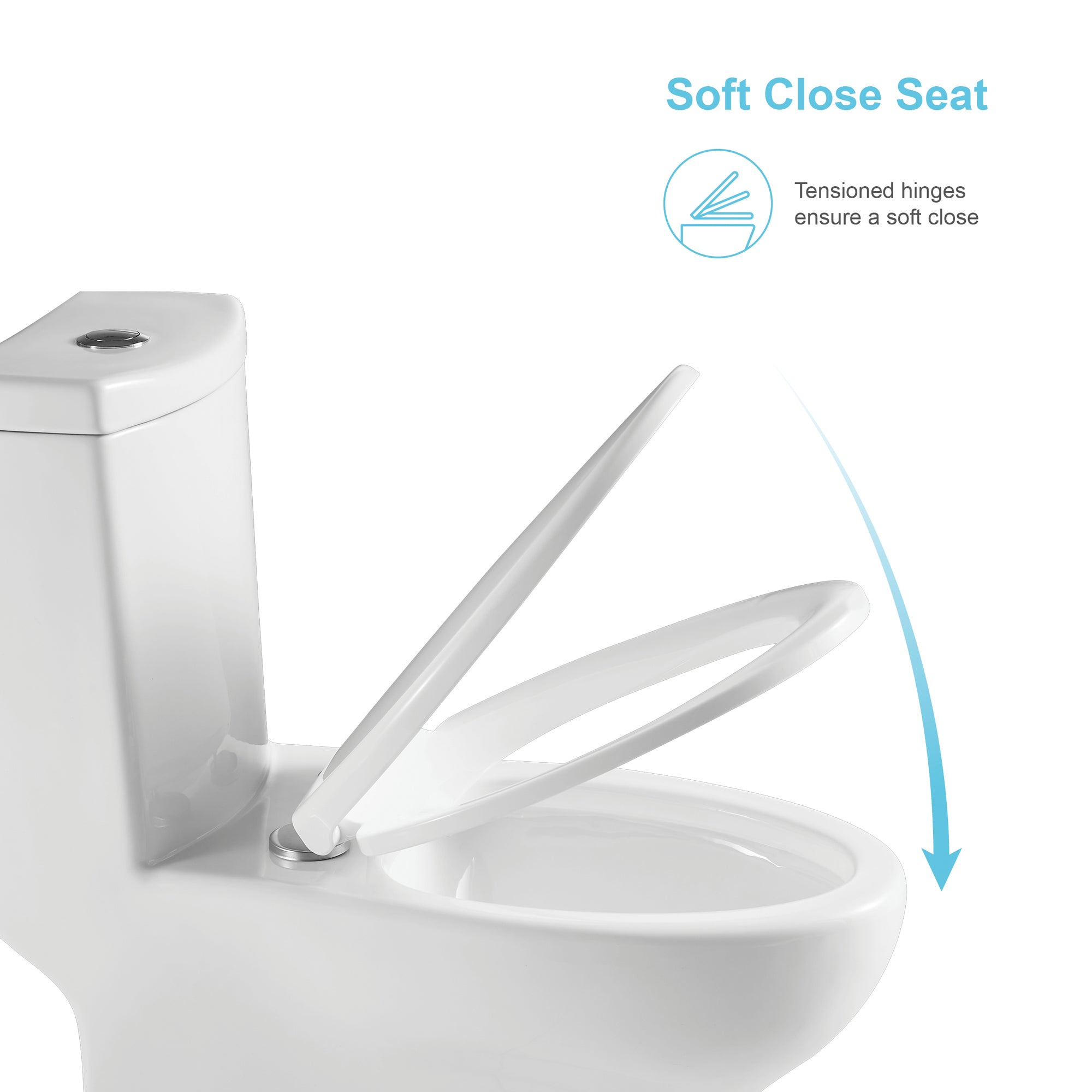 12 inches 1.1/1.6GPF Dual Flush One-Piece Toilet with Soft Close Seat