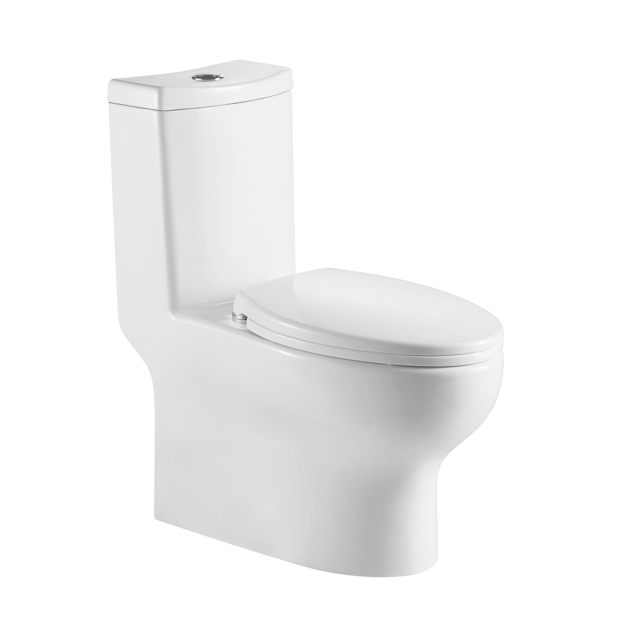 12 inches 1.1/1.6GPF Dual Flush One-Piece Toilet with Soft Close Seat