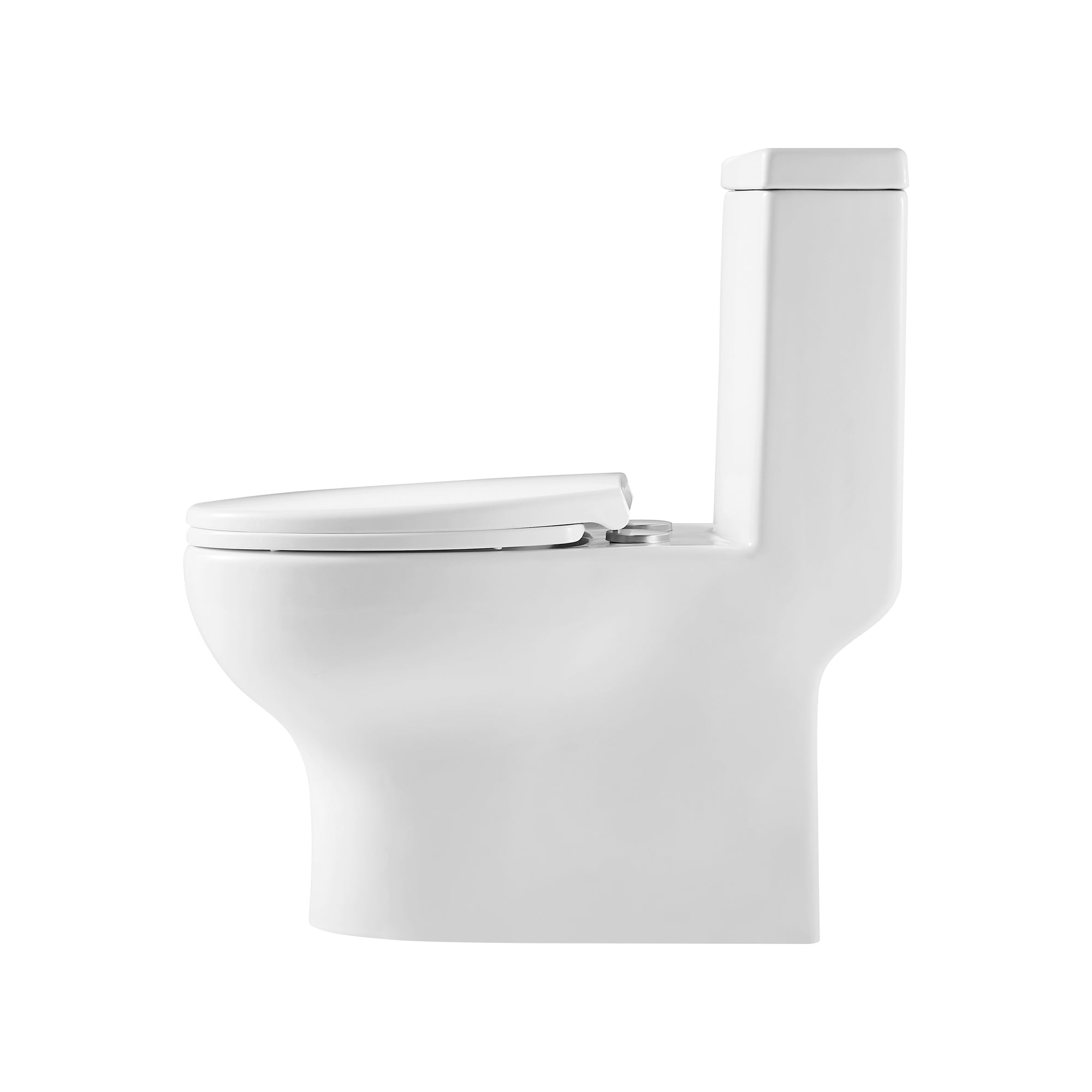 12 inches 1.1/1.6GPF Dual Flush One-Piece Toilet with Soft Close Seat