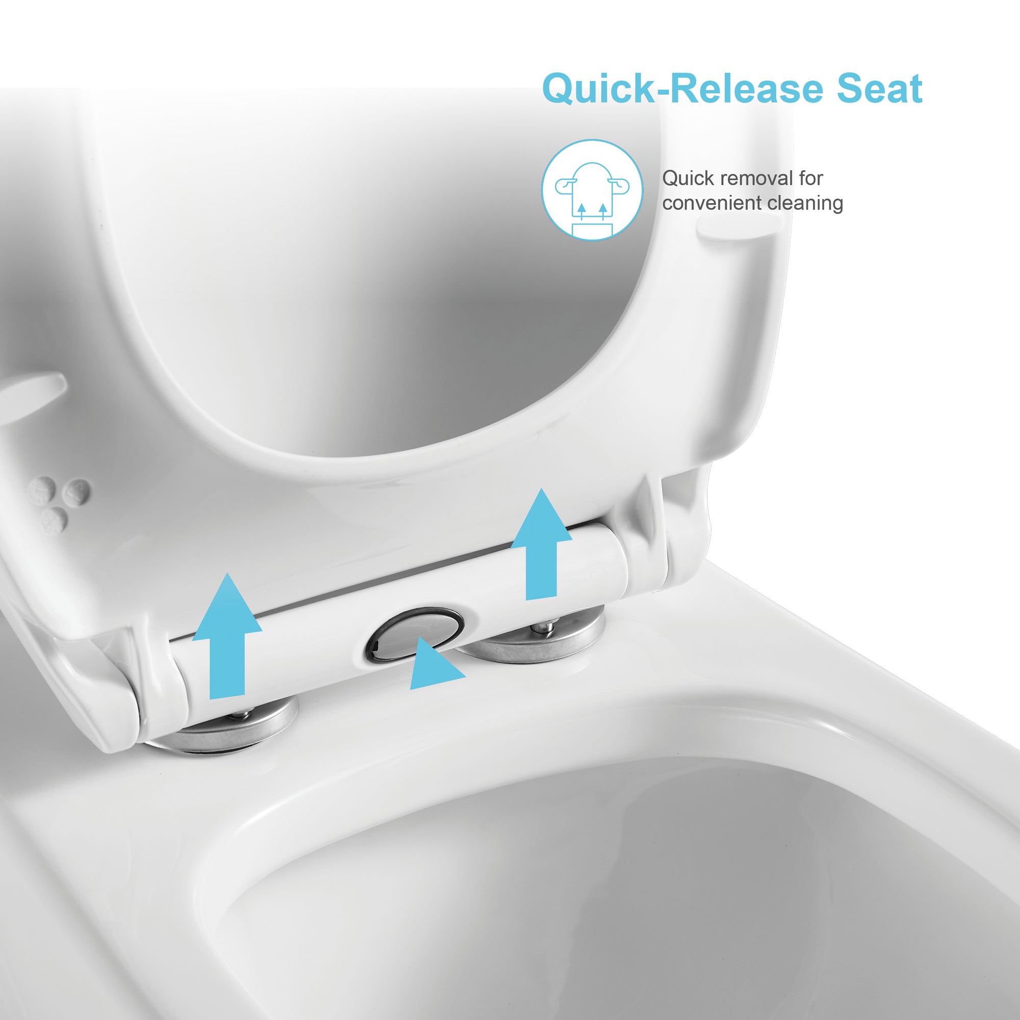 12 inches 1.1/1.6GPF Dual Flush One-Piece Toilet with Soft Close Seat