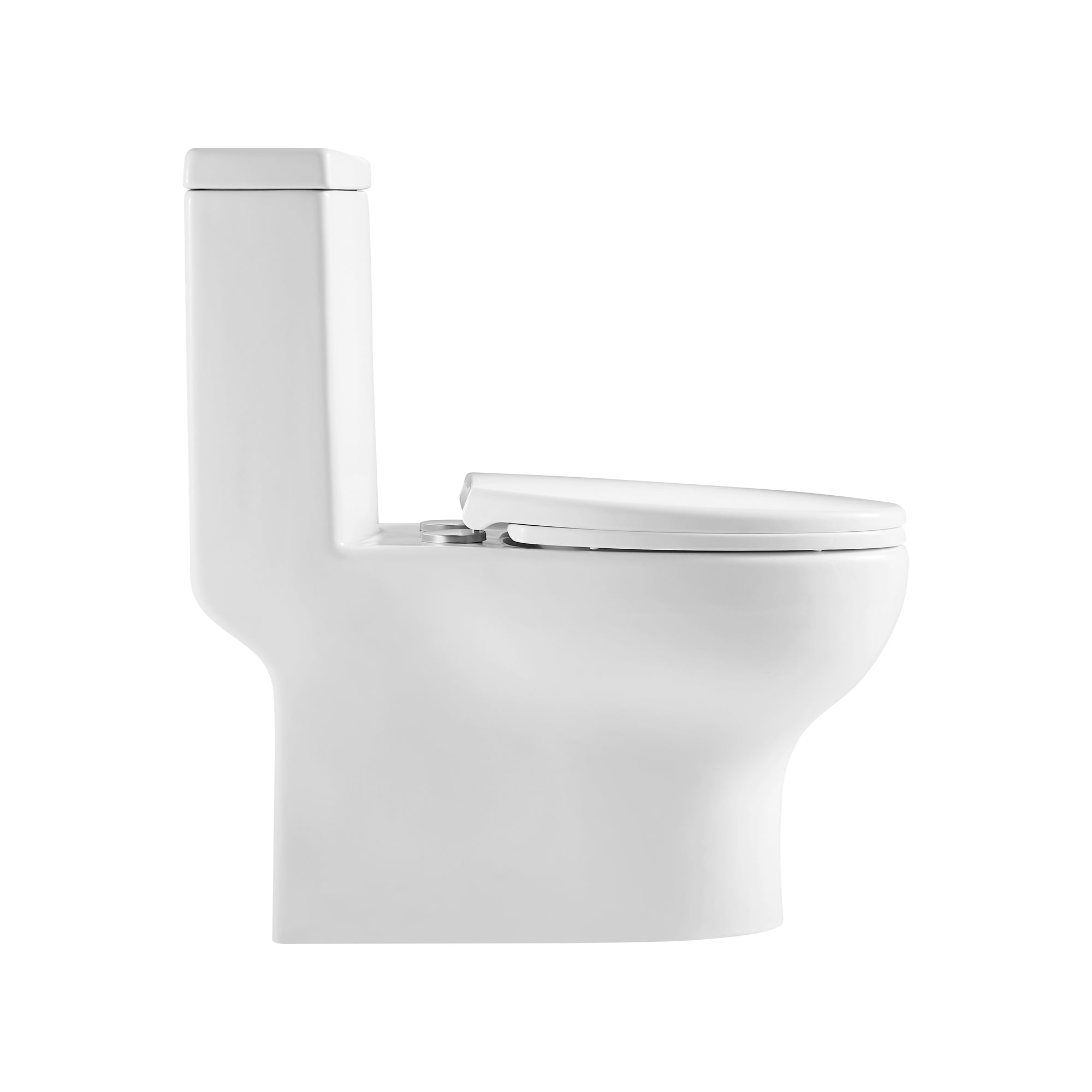 12 inches 1.1/1.6GPF Dual Flush One-Piece Toilet with Soft Close Seat