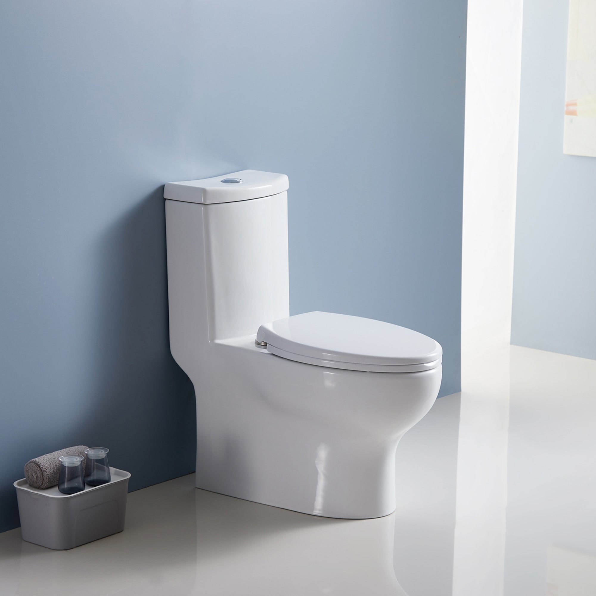 12 inches 1.1/1.6GPF Dual Flush One-Piece Toilet with Soft Close Seat