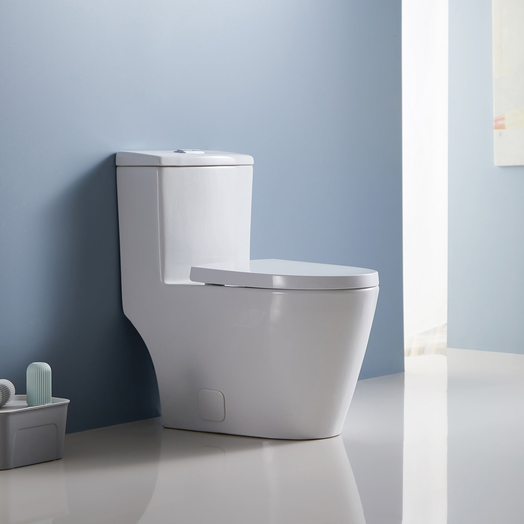 12 inches 0.88/1.2GPF Dual Flush One-Piece Toilet with Soft Close Seat