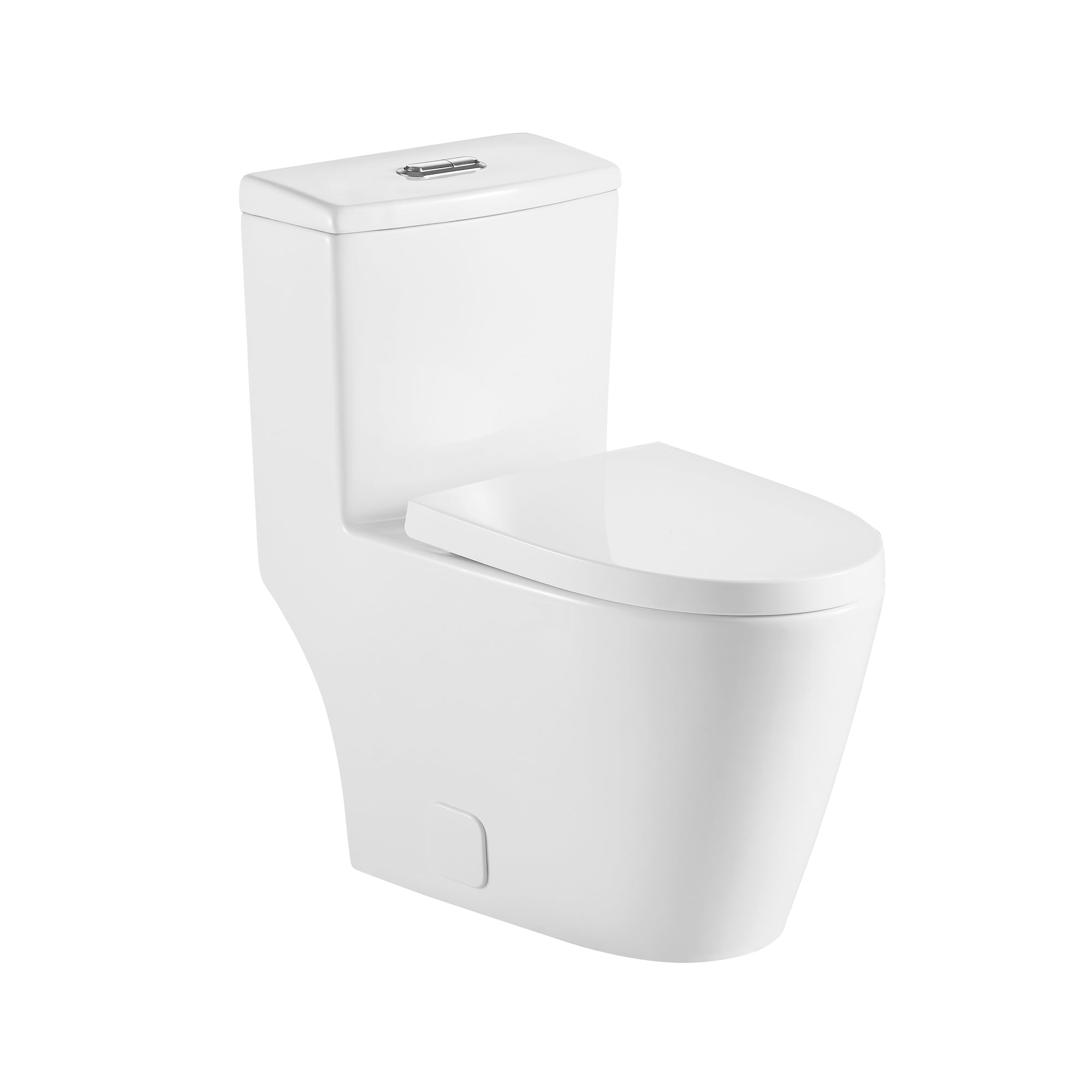 12 inches 0.88/1.2GPF Dual Flush One-Piece Toilet with Soft Close Seat