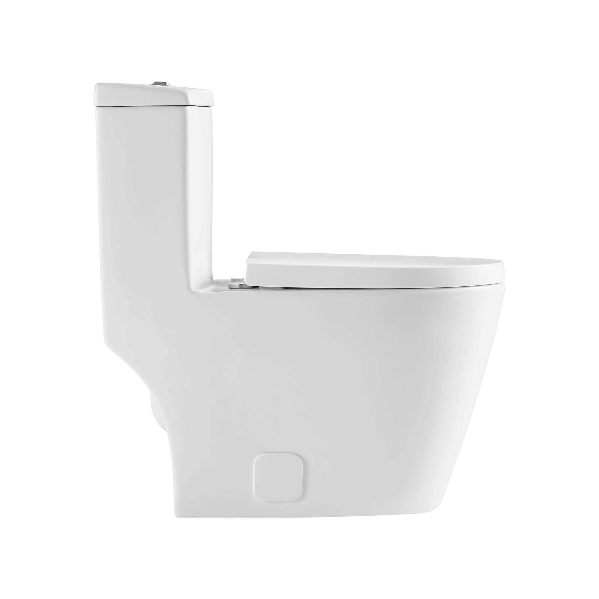 12 inches 0.88/1.2GPF Dual Flush One-Piece Toilet with Soft Close Seat