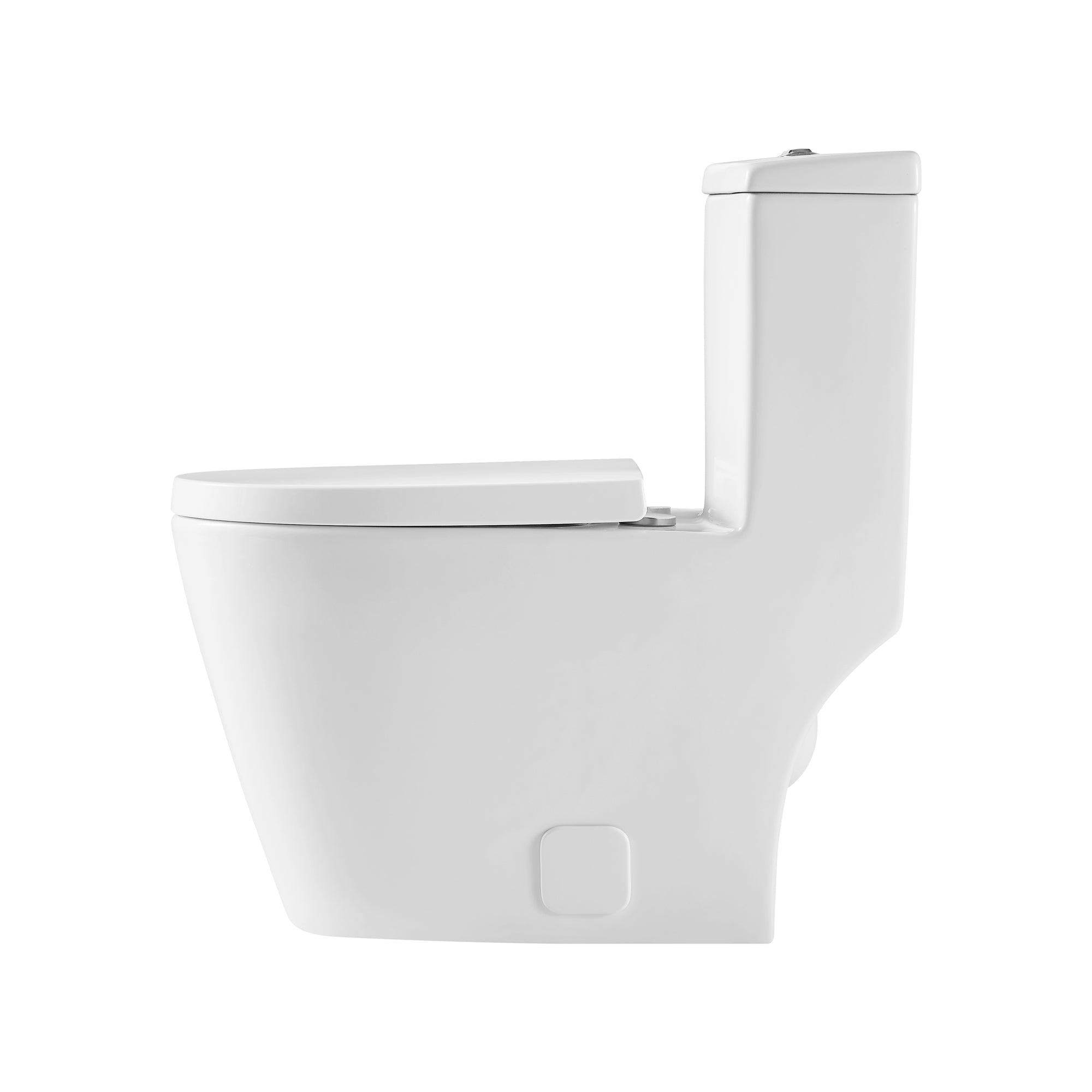 12 inches 0.88/1.2GPF Dual Flush One-Piece Toilet with Soft Close Seat