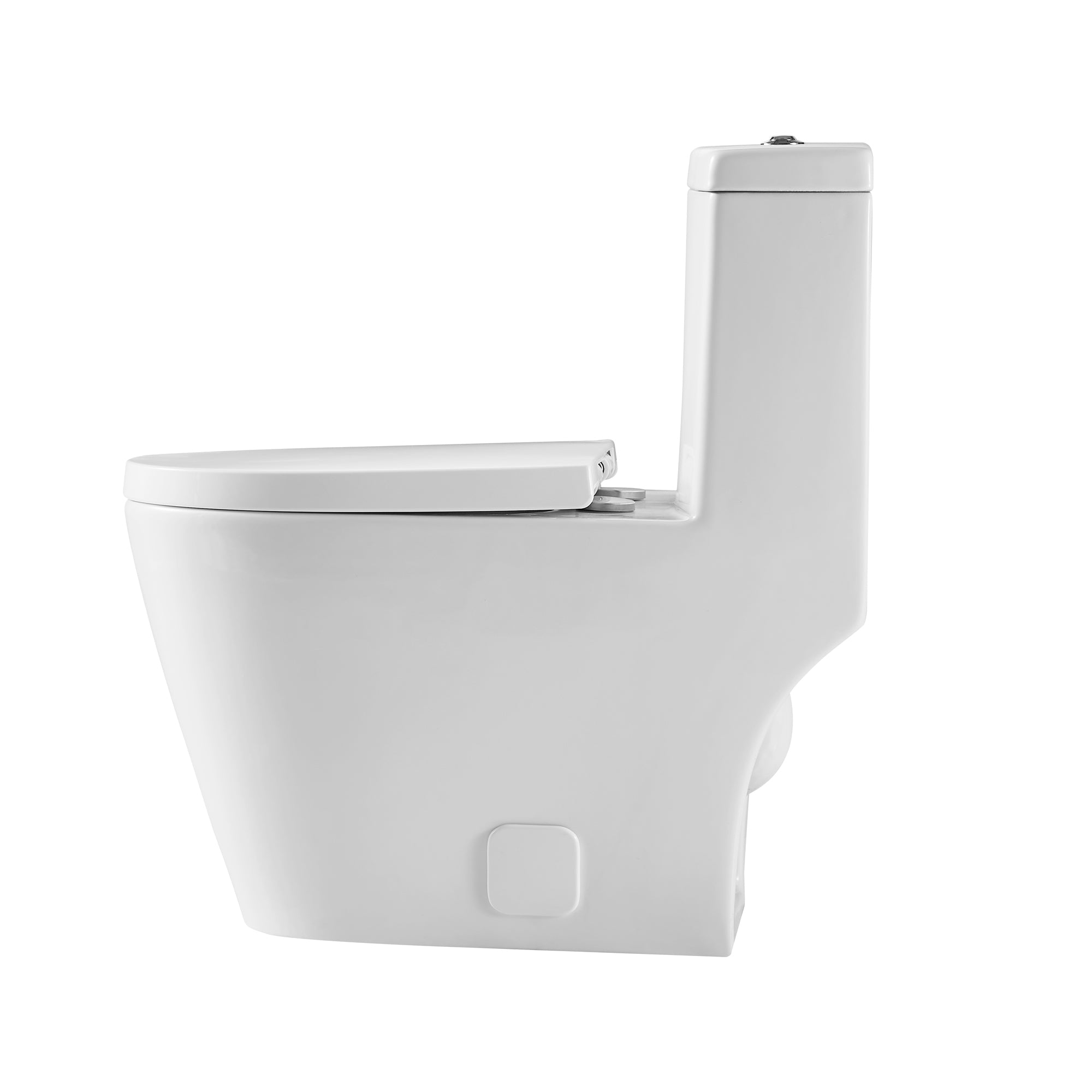 12 inches 0.88/1.2GPF Dual Flush One-Piece Toilet with Soft Close Seat