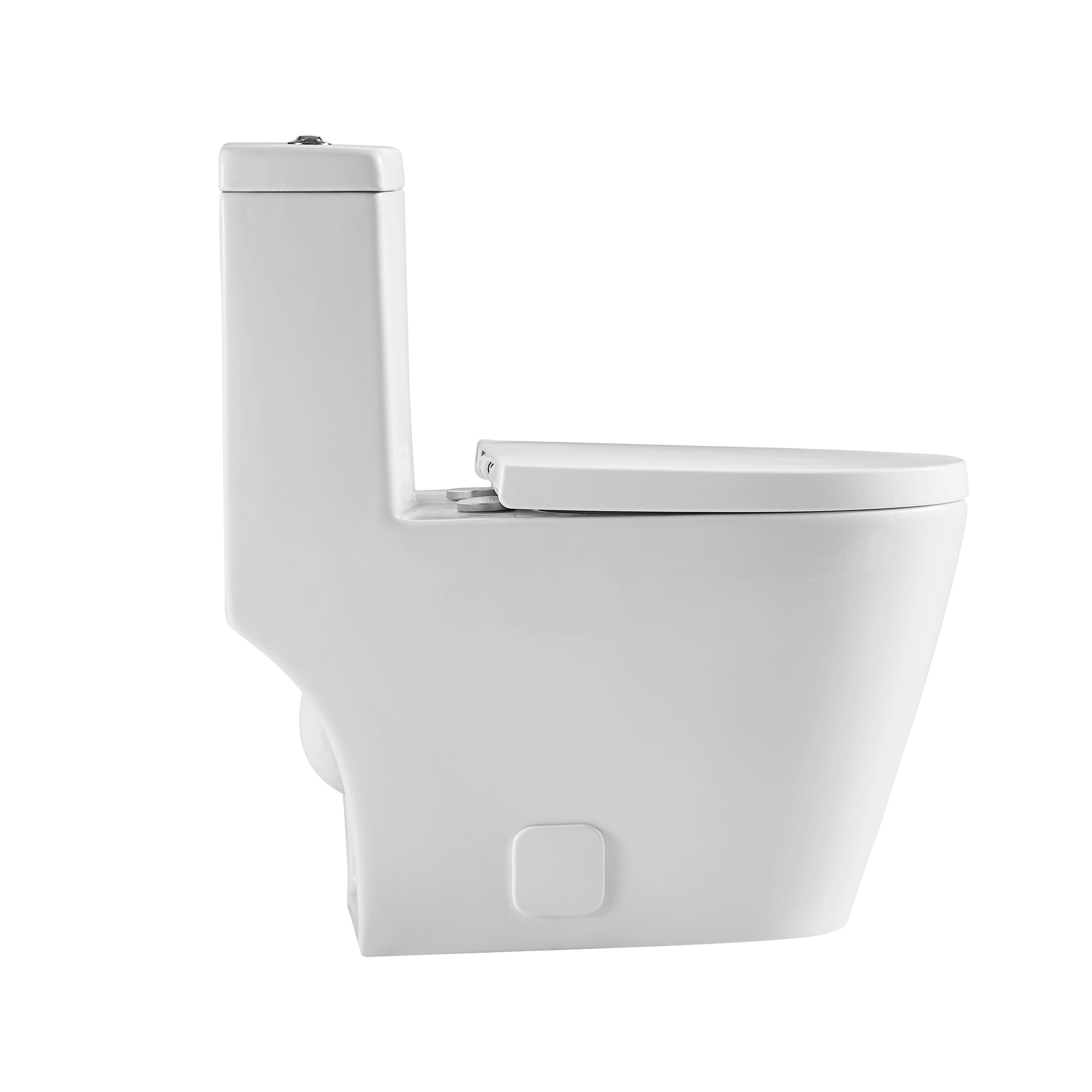 12 inches 0.88/1.2GPF Dual Flush One-Piece Toilet with Soft Close Seat