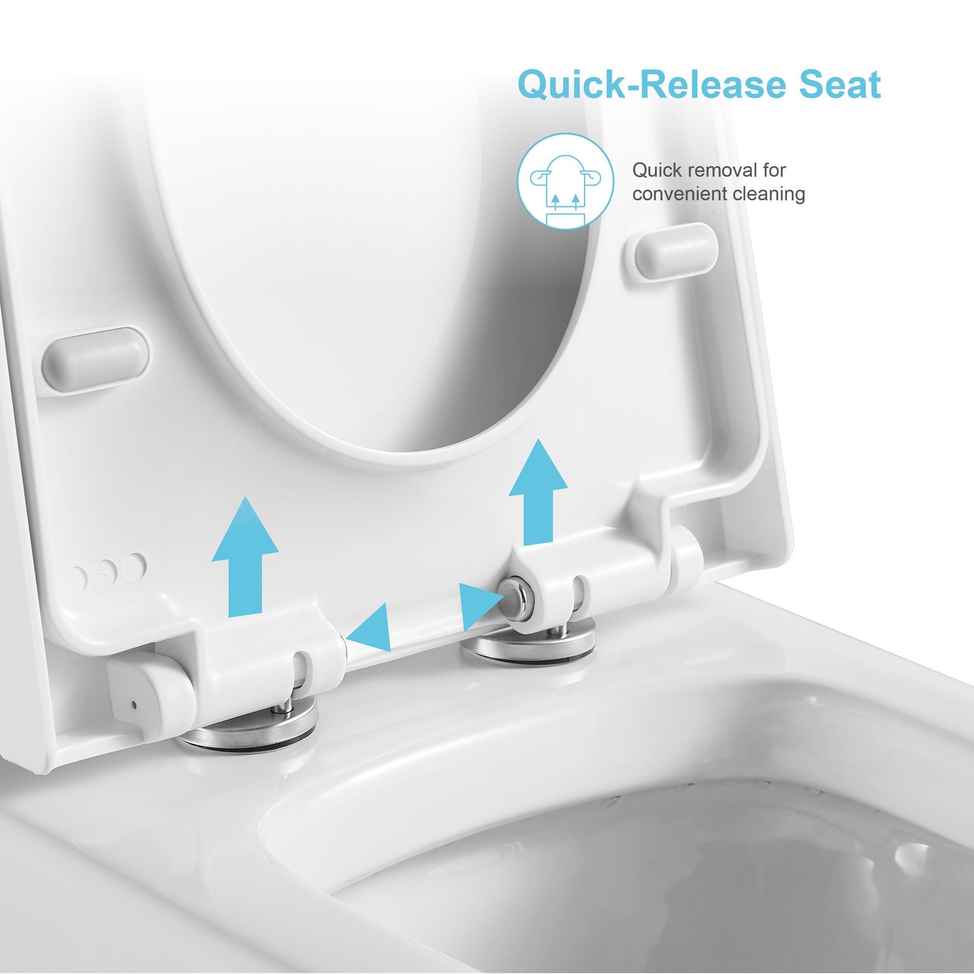 12 inches 0.88/1.2GPF Dual Flush One-Piece Toilet with Soft Close Seat