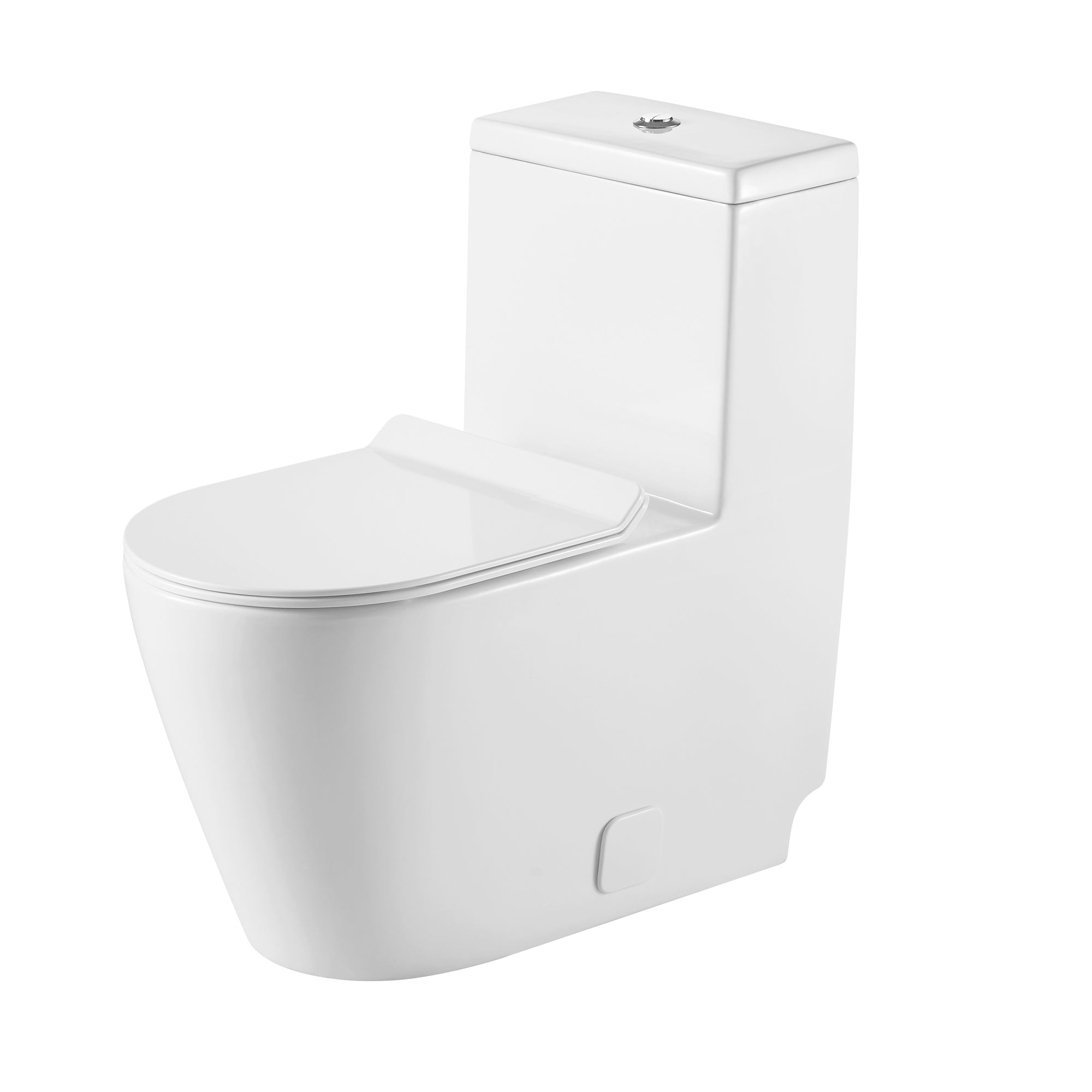 12 inches 0.88/1.28GPF Dual Flush One-Piece Toilet with Soft Close Seat