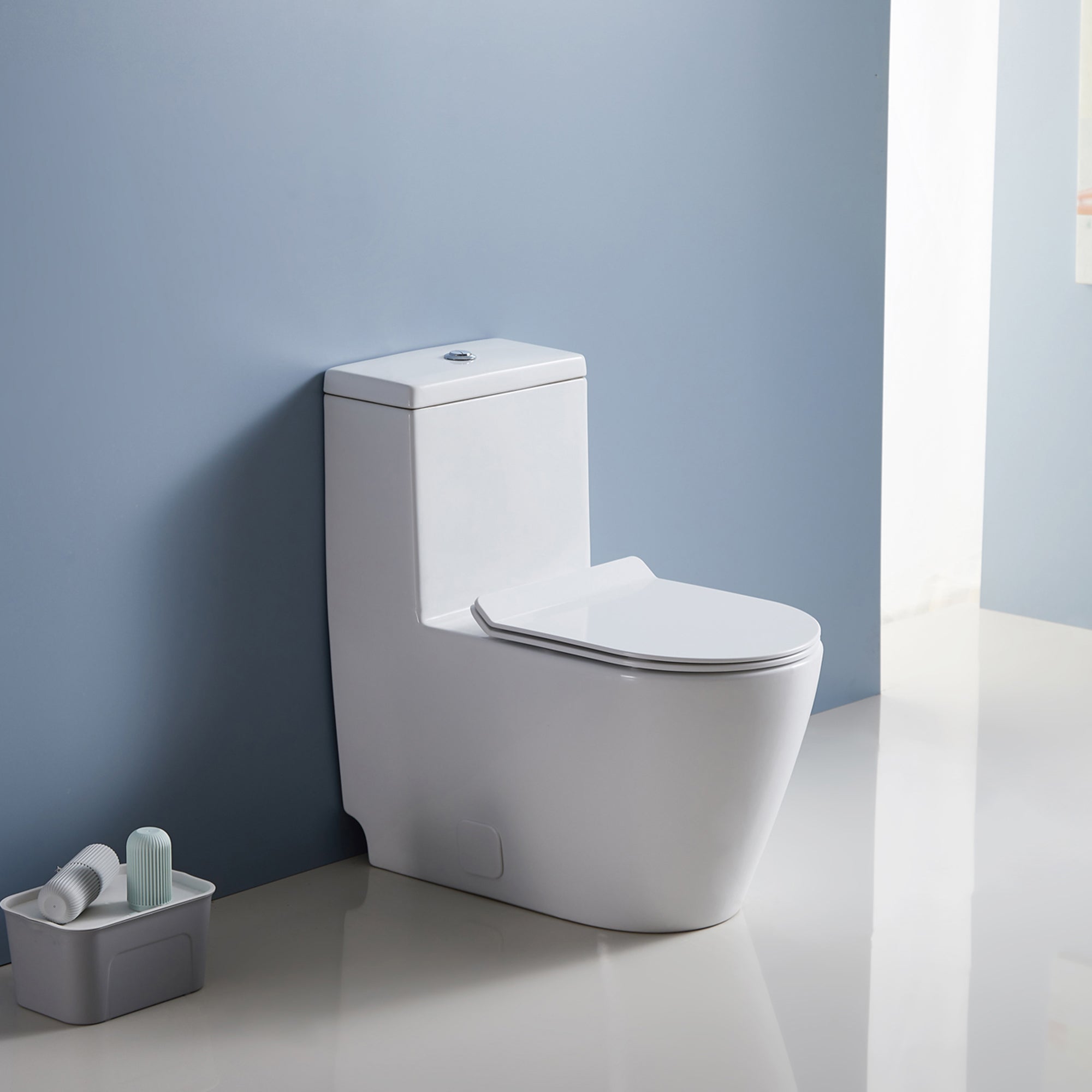 12 inches 0.88/1.28GPF Dual Flush One-Piece Toilet with Soft Close Seat