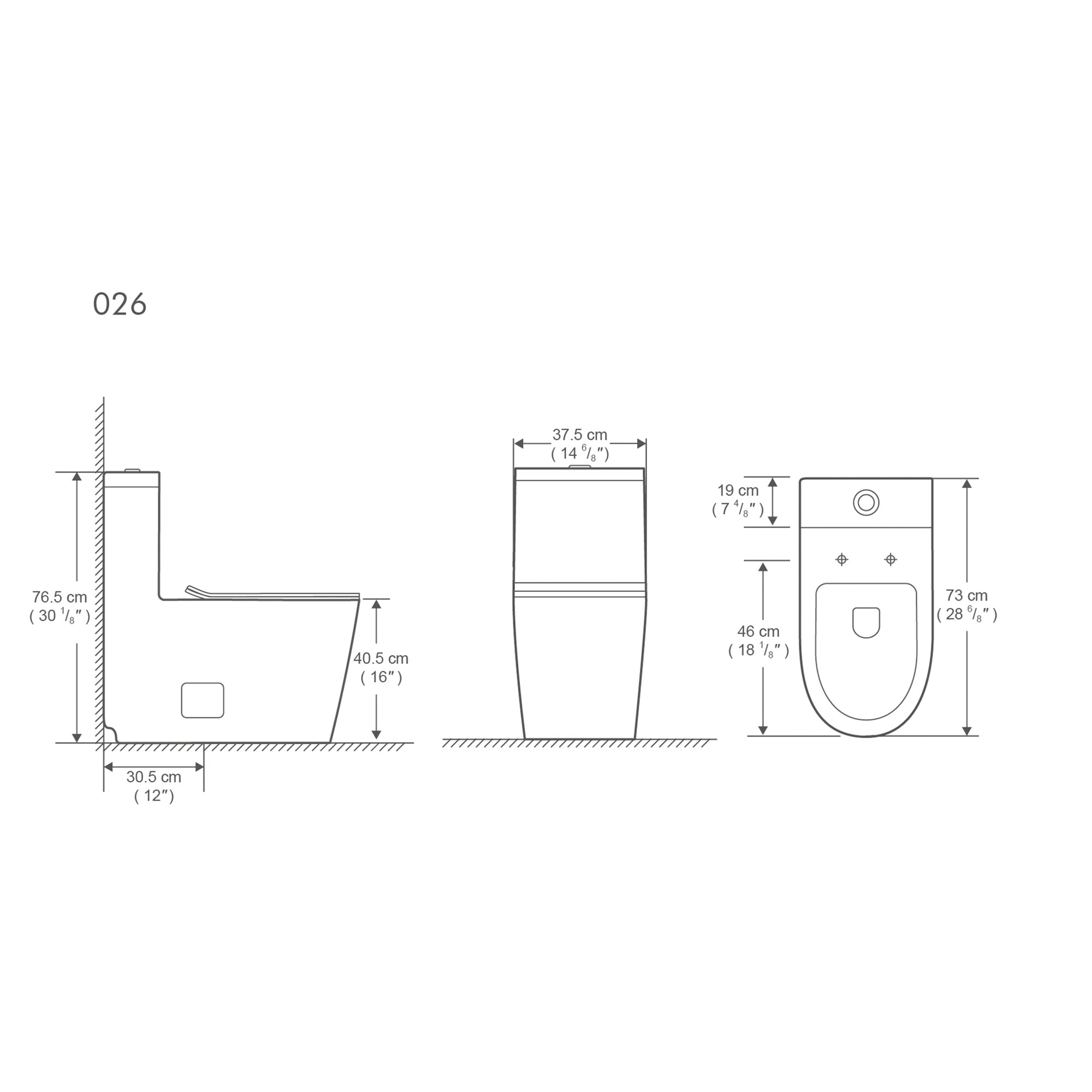 12 inches 0.88/1.28GPF Dual Flush One-Piece Toilet with Soft Close Seat