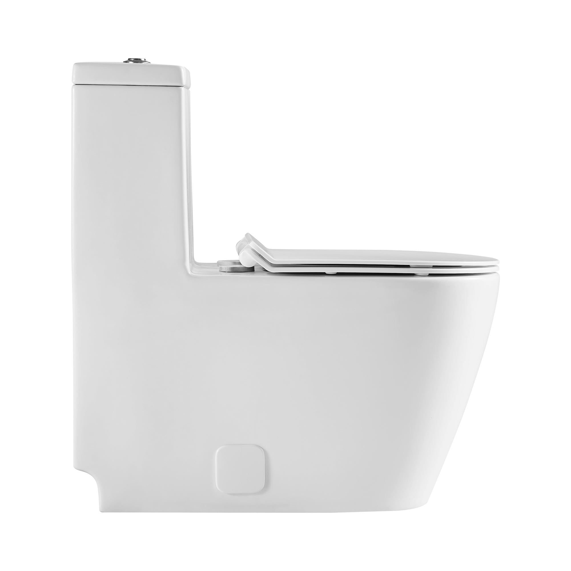 12 inches 0.88/1.28GPF Dual Flush One-Piece Toilet with Soft Close Seat