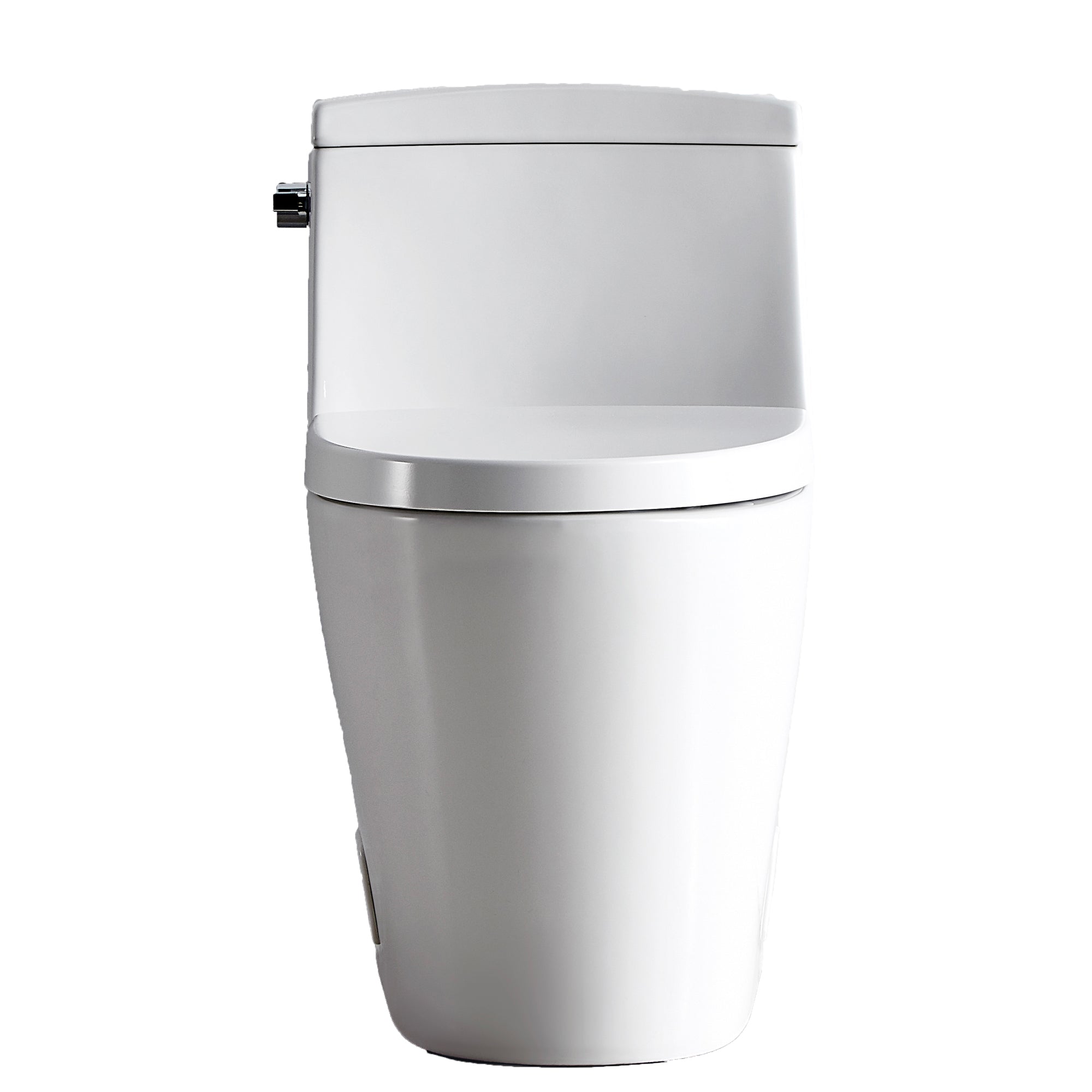 1-piece 0.88/1.28 GPF Dual Flush Elongated Toilet in White Seat Included