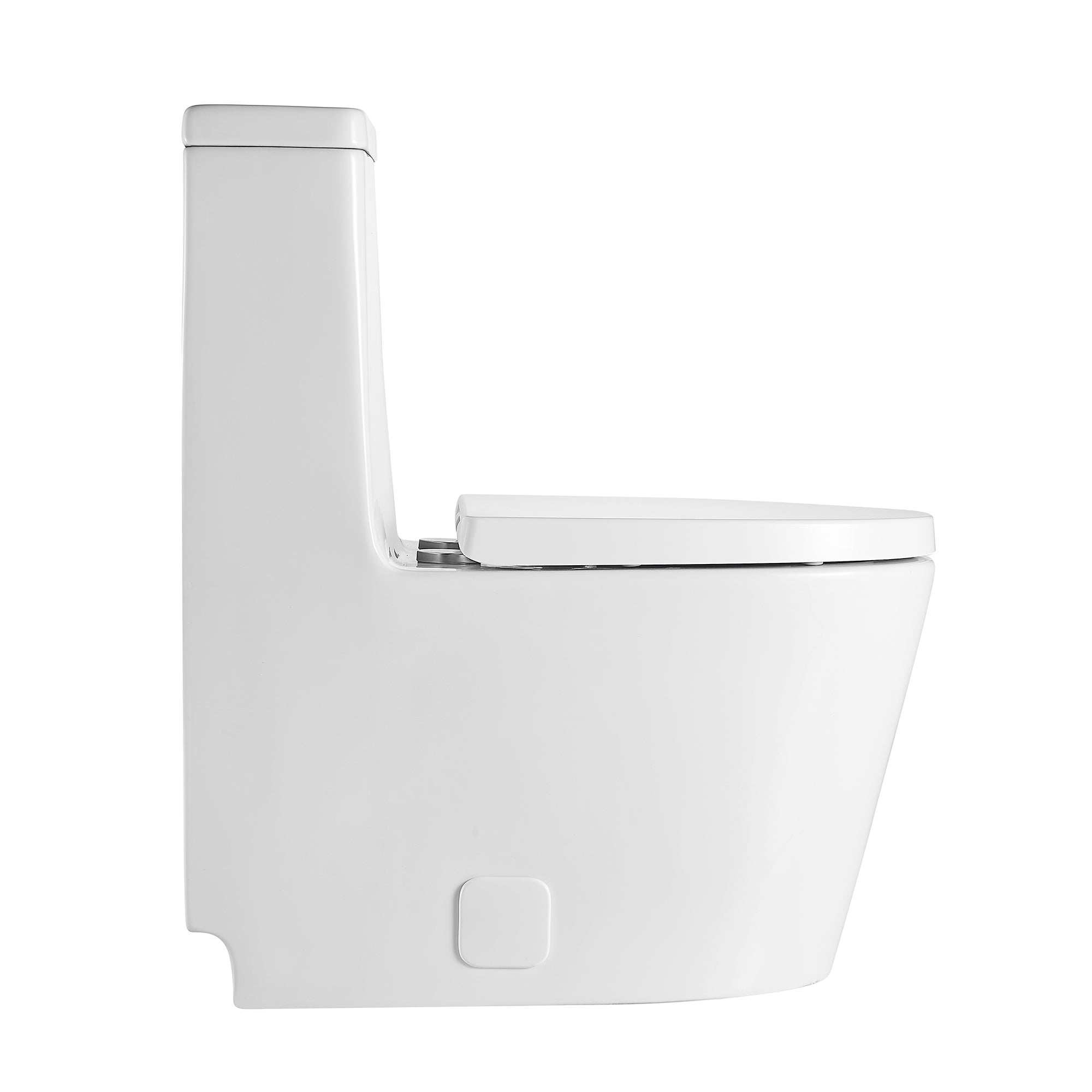 1-piece 0.88/1.28 GPF Dual Flush Elongated Toilet in White Seat Included