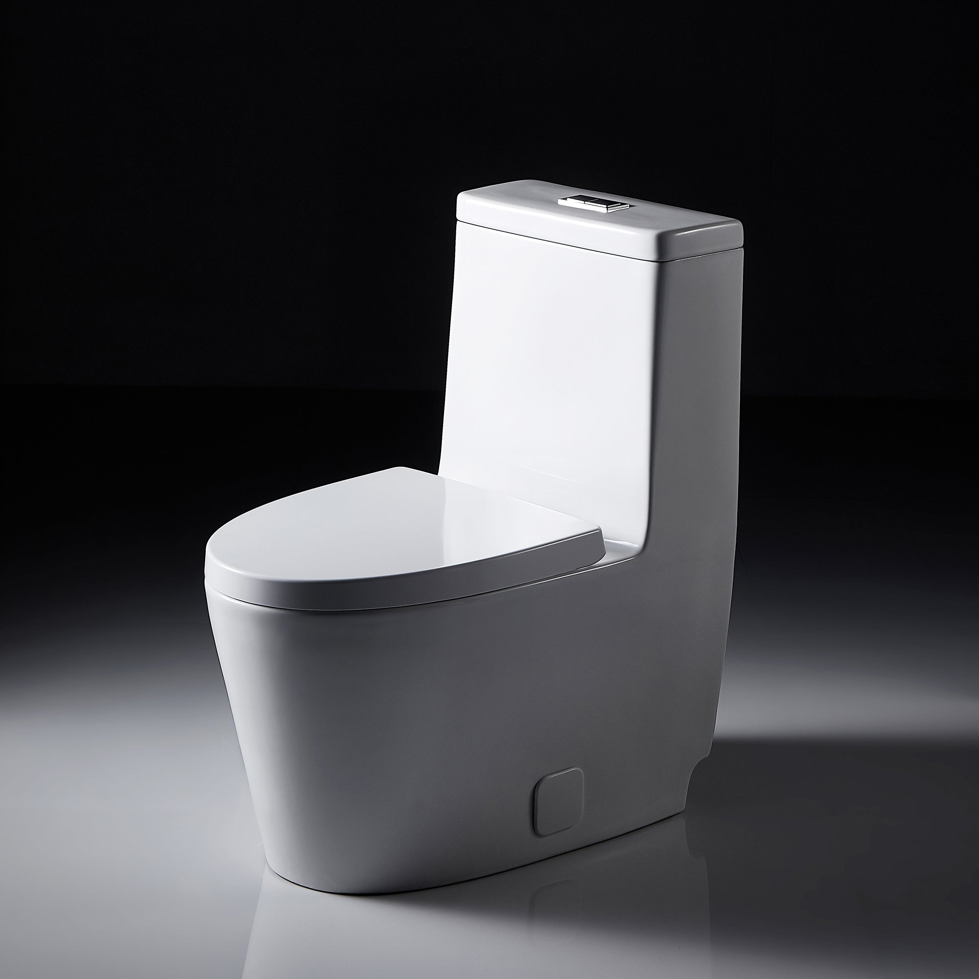 1-piece 0.88/1.28 GPF Dual Flush Elongated Toilet in White Seat Included