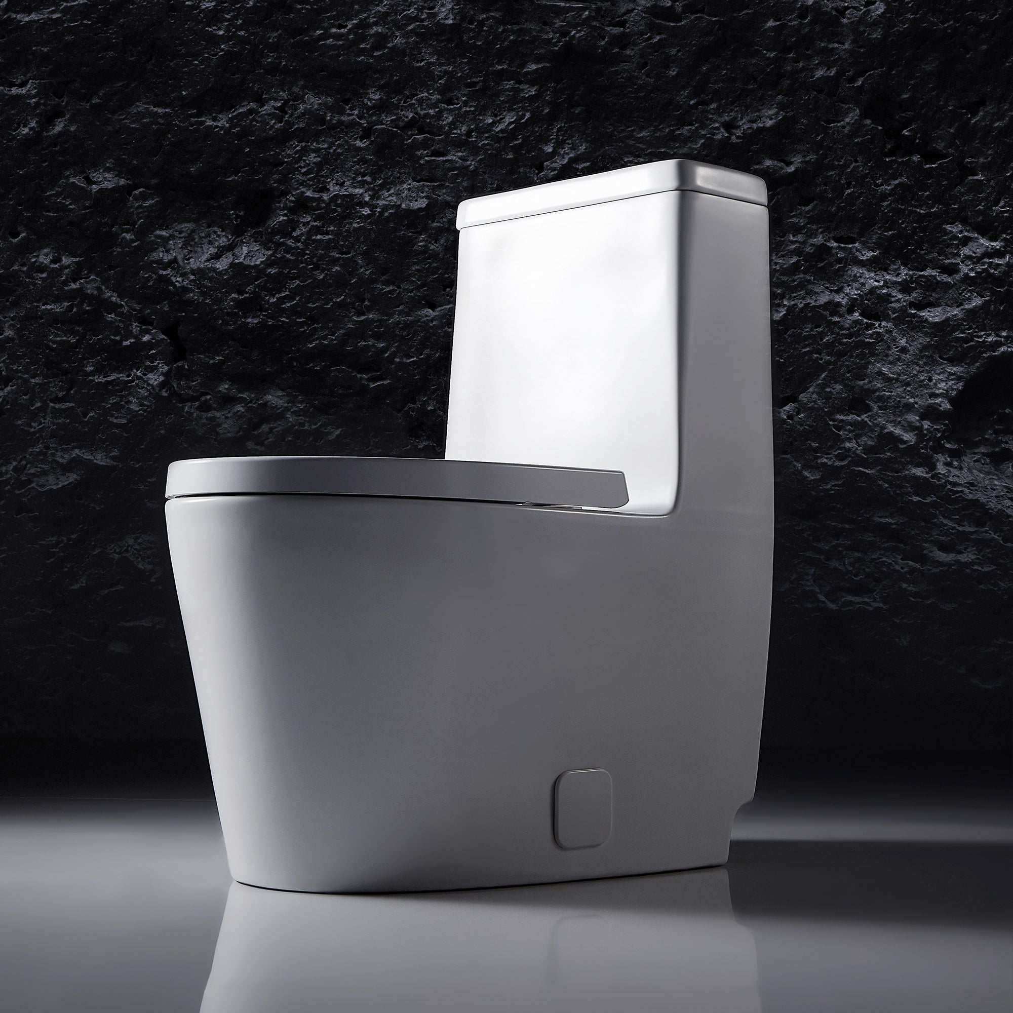 1-piece 0.88/1.28 GPF Dual Flush Elongated Toilet in White Seat Included