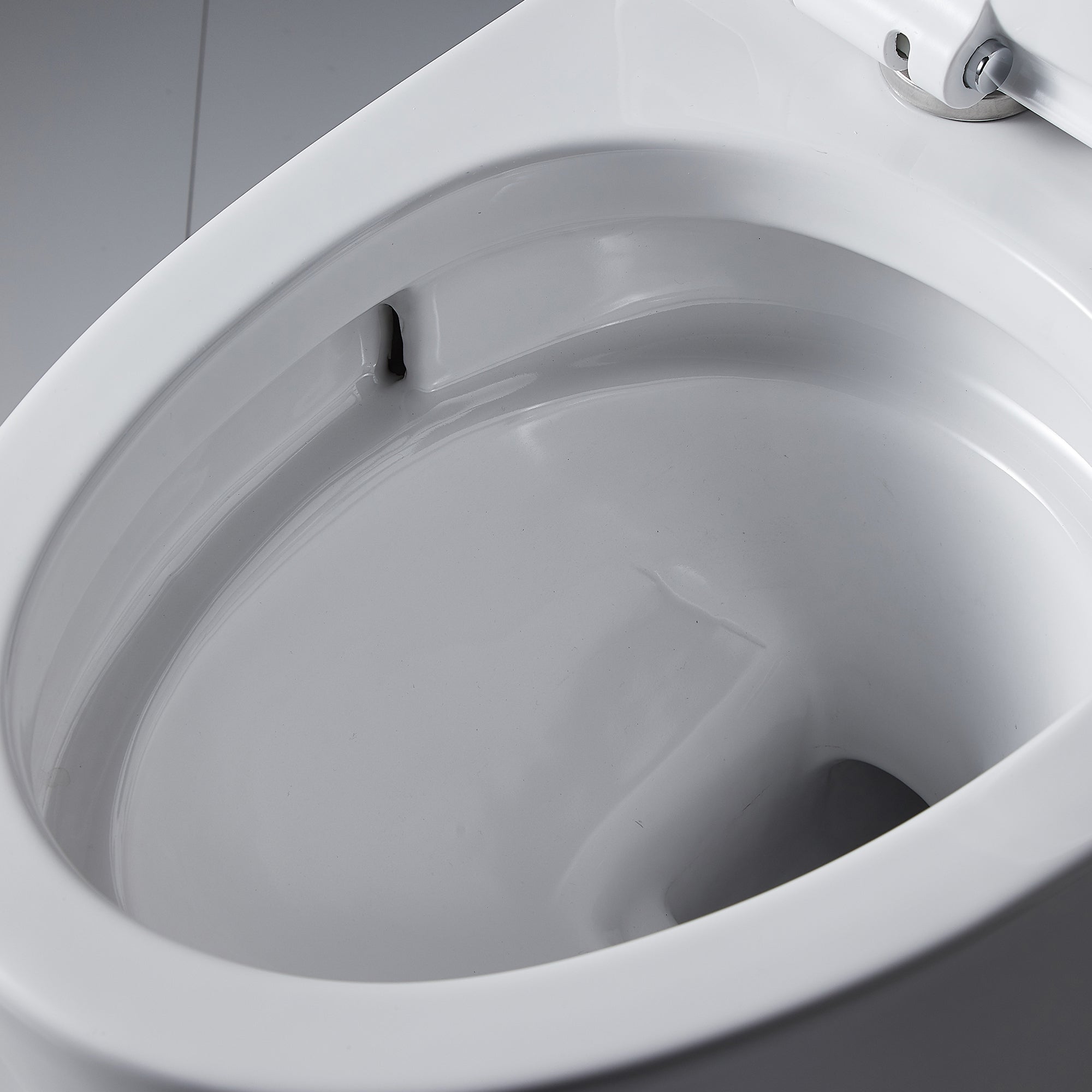 1-piece 0.88/1.28 GPF Dual Flush Elongated Toilet in White Seat Included