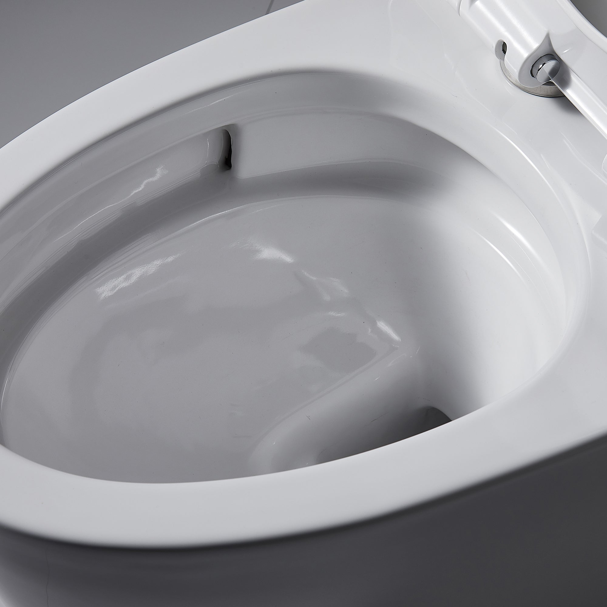 1-piece 0.88/1.28 GPF Dual Flush Elongated Toilet in White Seat Included